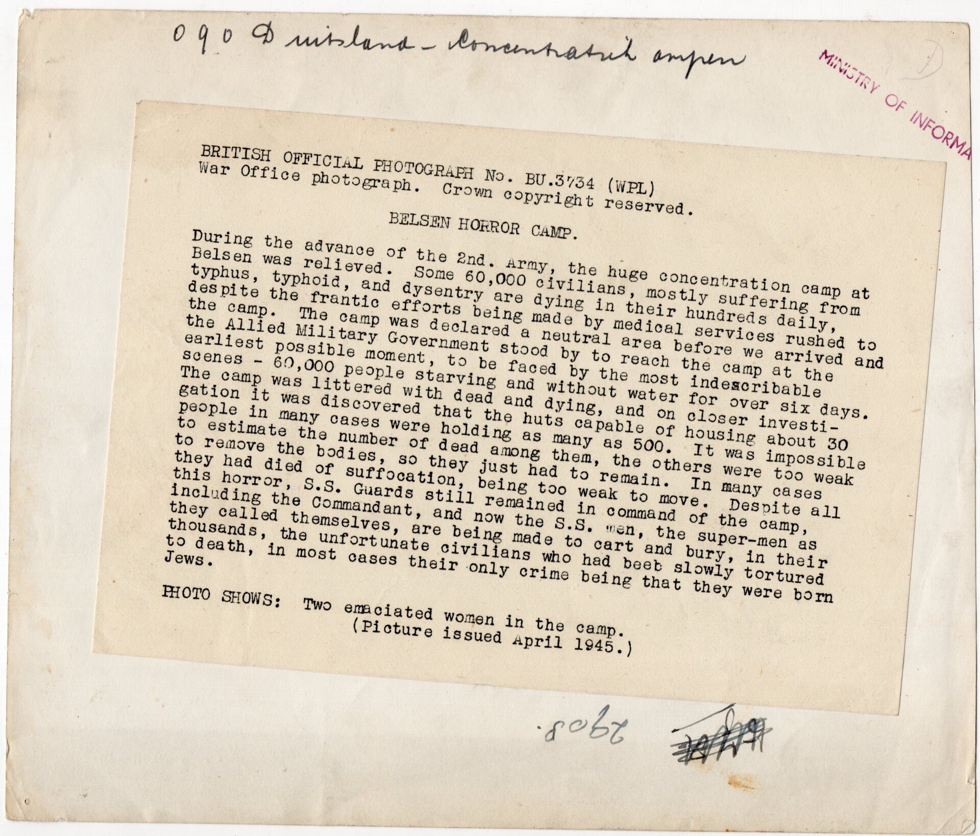 Original WW2 British Press Photo - Two liberated starving woman prisoners from the Bergen Belsen Concentration Camp (1945) — image 2