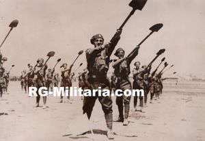 Original WW2 French Press Photo - Romanian soldiers with shovels …