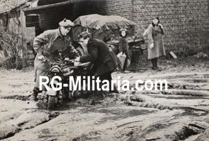 Original WW2 French Press Photo - Dutch civilian helps a …