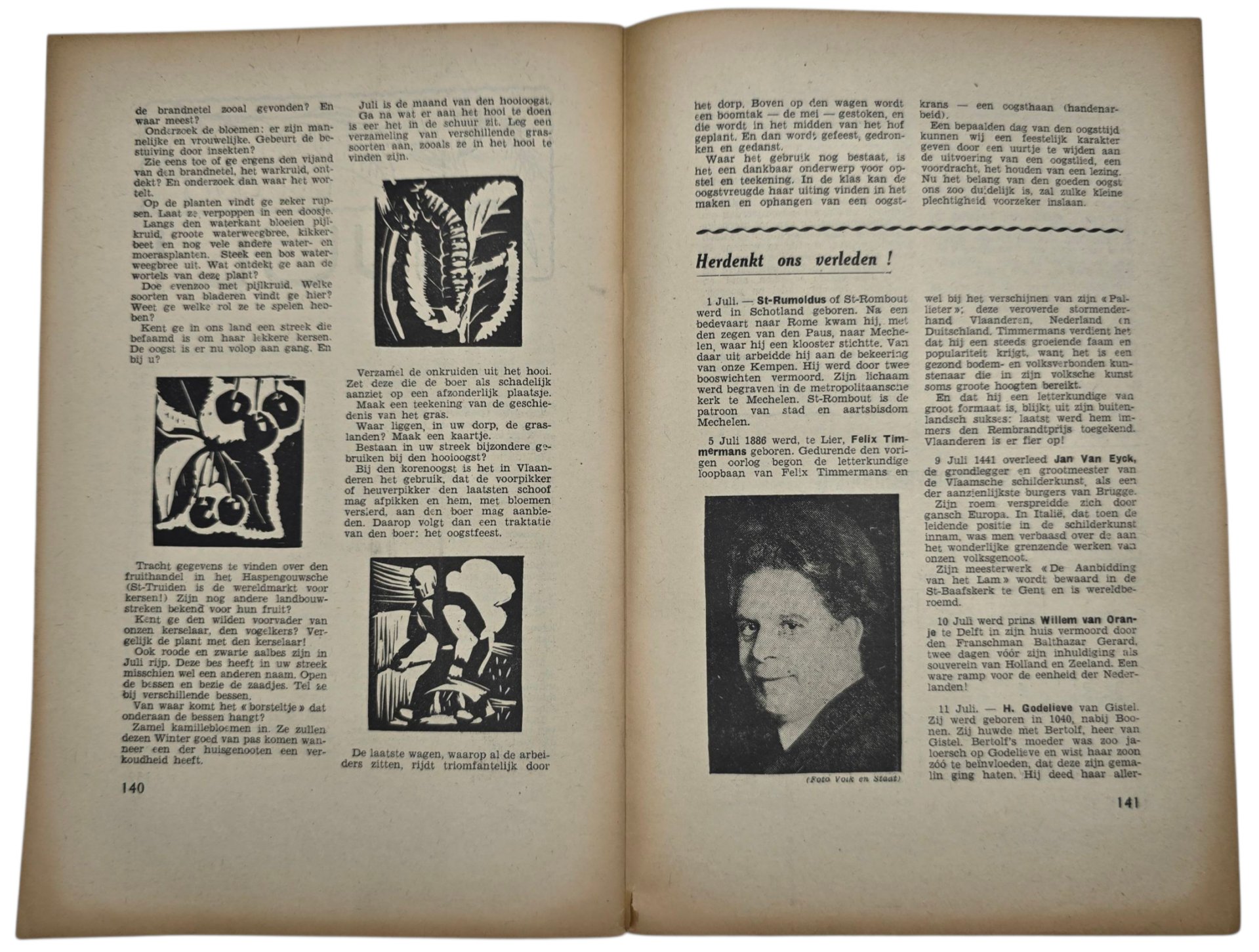 Original WW2 Flemish Collaboration Magazine - De Volksschool Jeugdopleiding 1st year No. 5, July, Waffen SS Death Kamiel De Wilde (1942) — image 3