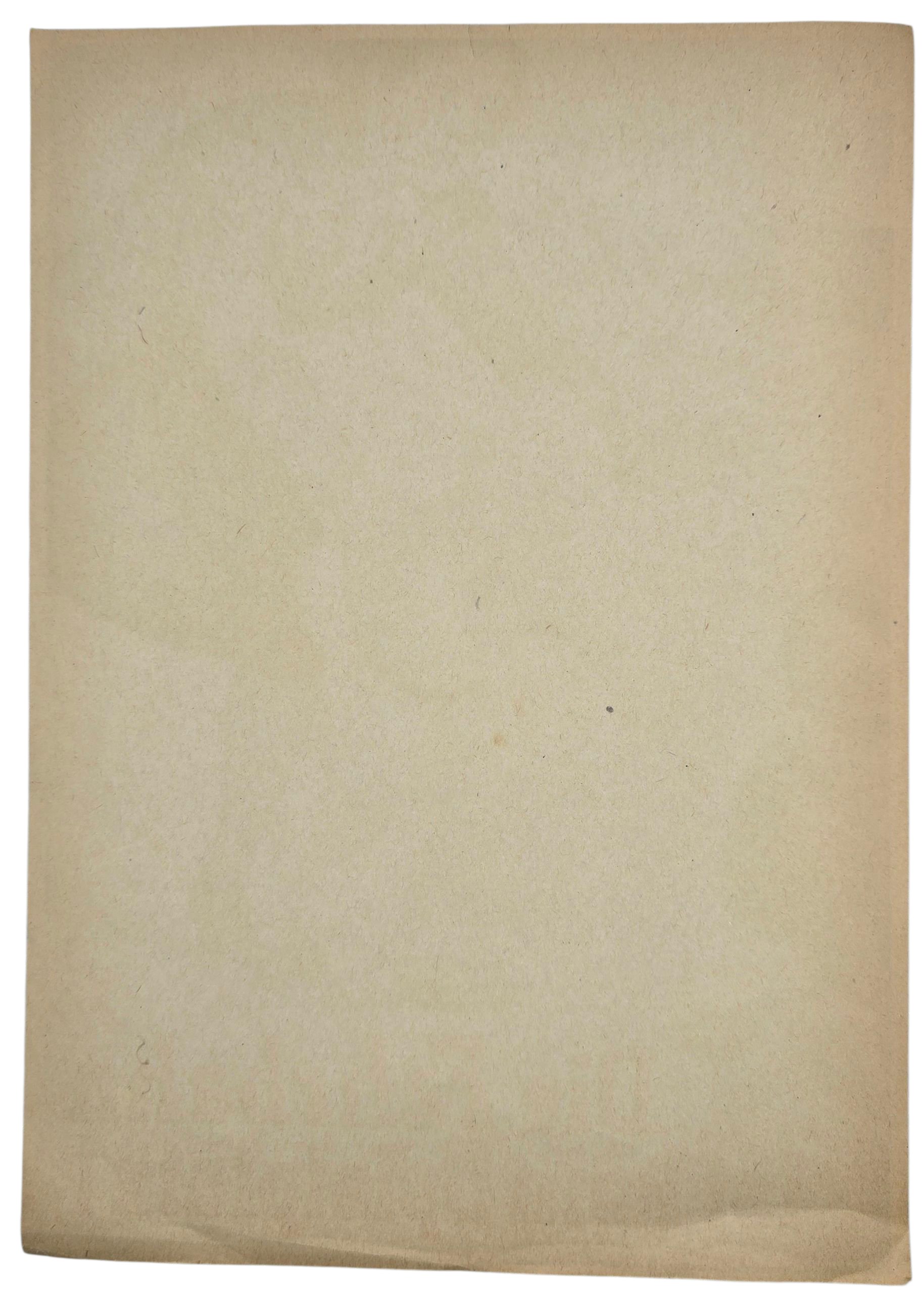 Original WW2 German Waffen SS Poster - Die Fahrbahn ist kein Spielplatz! Reichsführer SS Haustafelplakat 6 (1938) — image 5