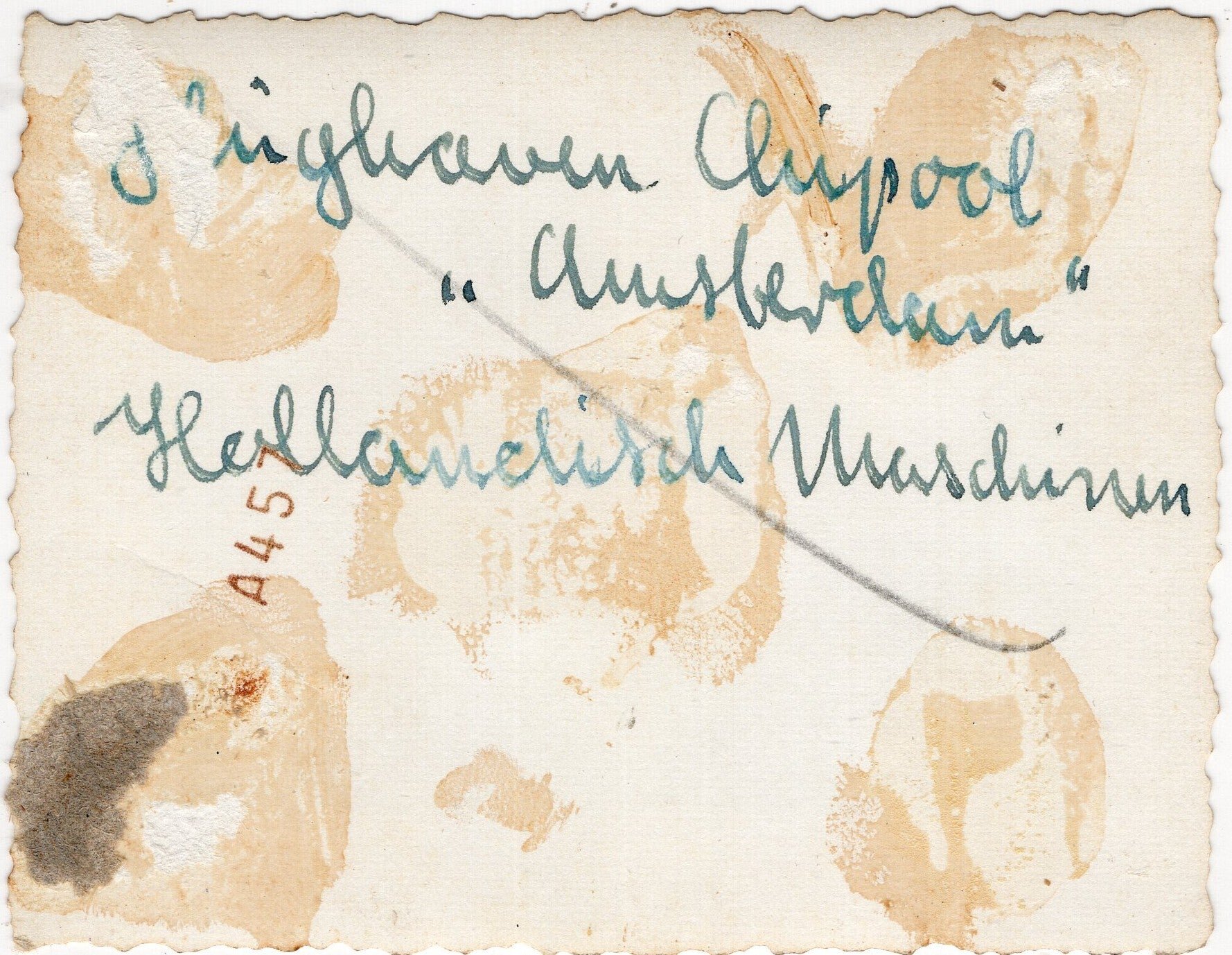 Original WW2 German Photo - Dutch LVA Fokker airplanes with a Fokker TV bomber at Schiphol Amsterdam (1940) — image 2