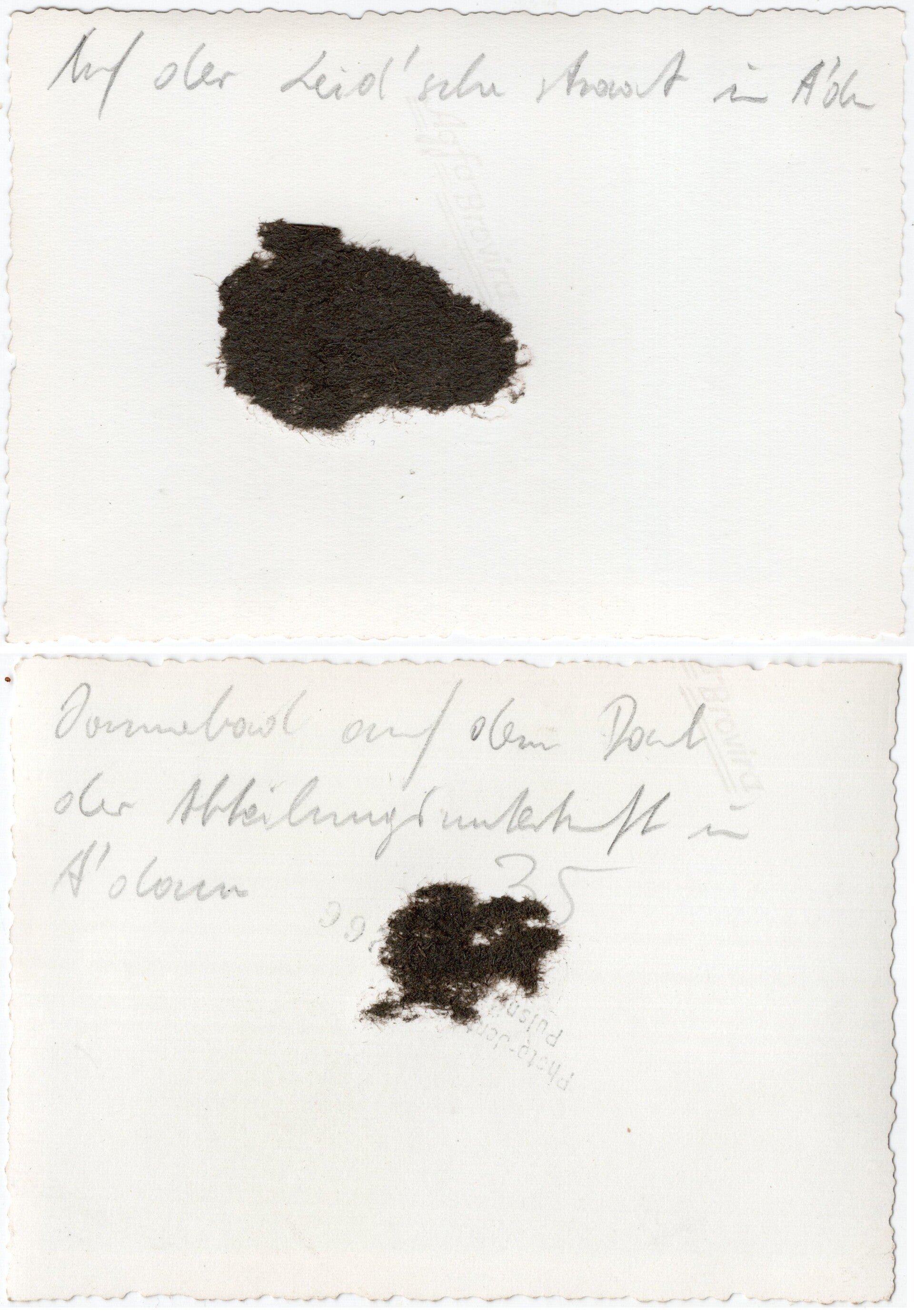 Original WW2 German Photo - German Luftwaffe soldiers visiting Amsterdam, Holland (1940) — image 2