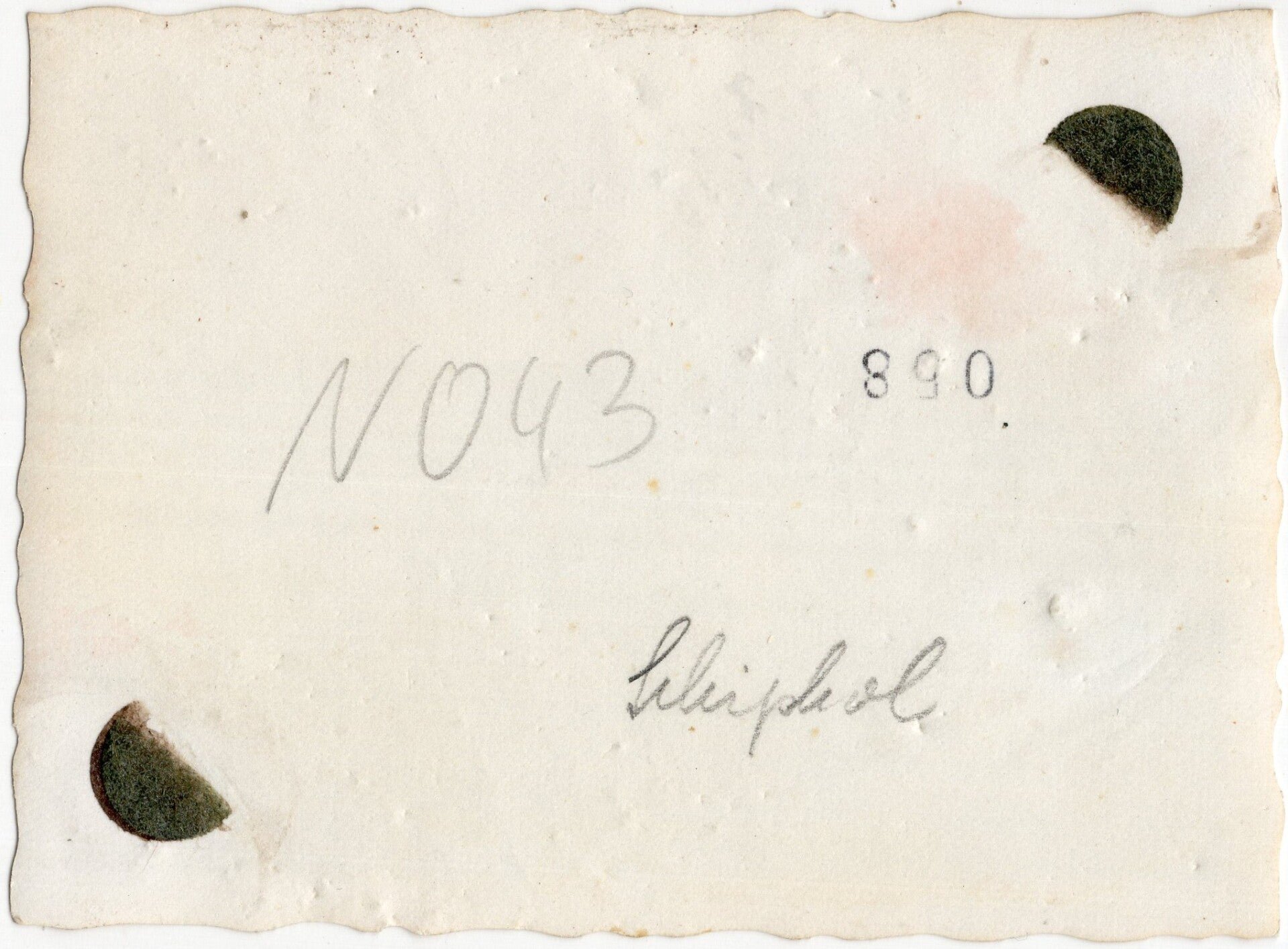 Original WW2 German Photo - Airplane parts at Schiphol, Amsterdam (1940) — image 2