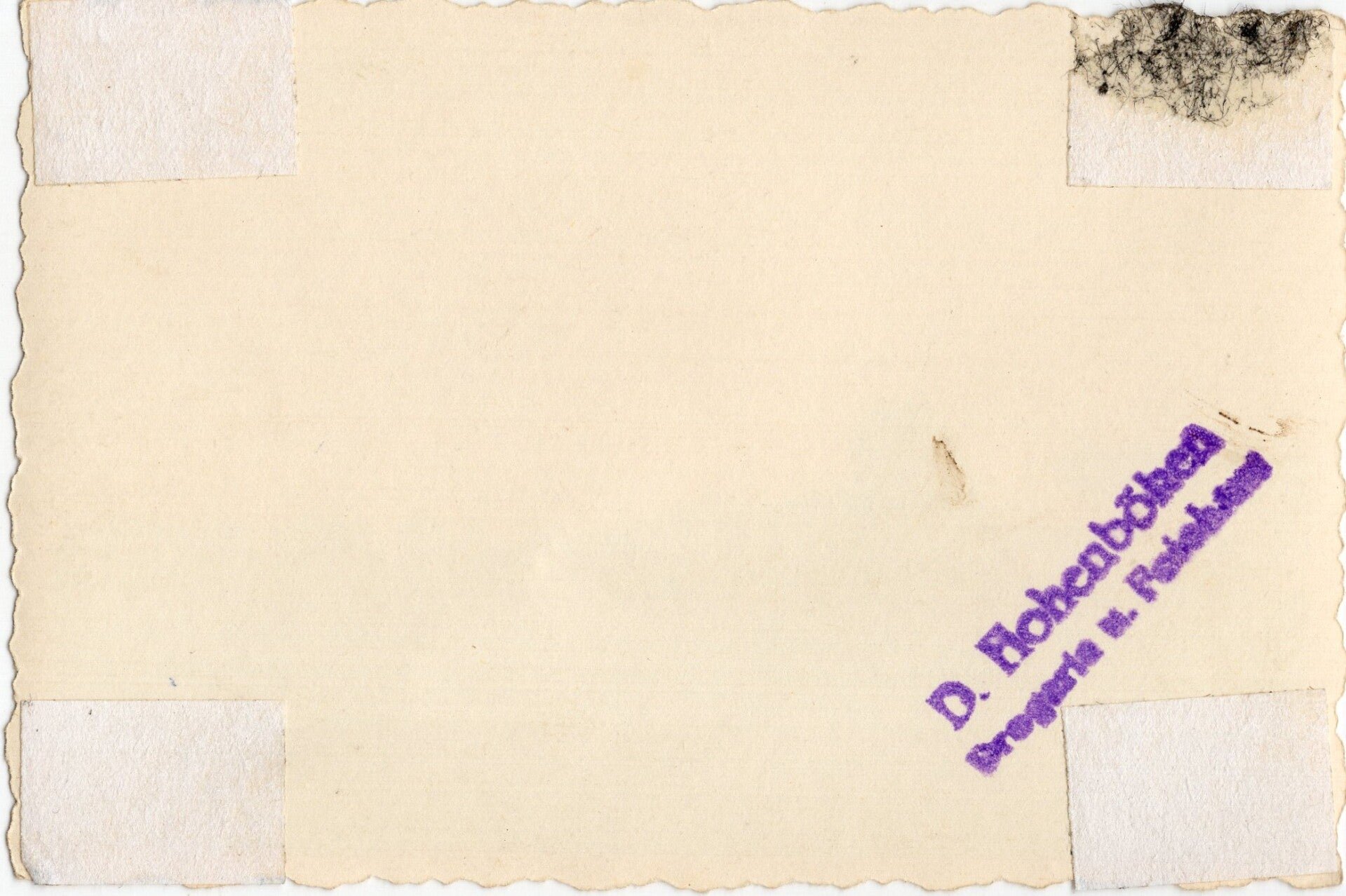 Original WW2 German Photo - Shot down Dornier Do-17 tail at the Rotterdam airfield Waalhaven, May (1940) — image 2