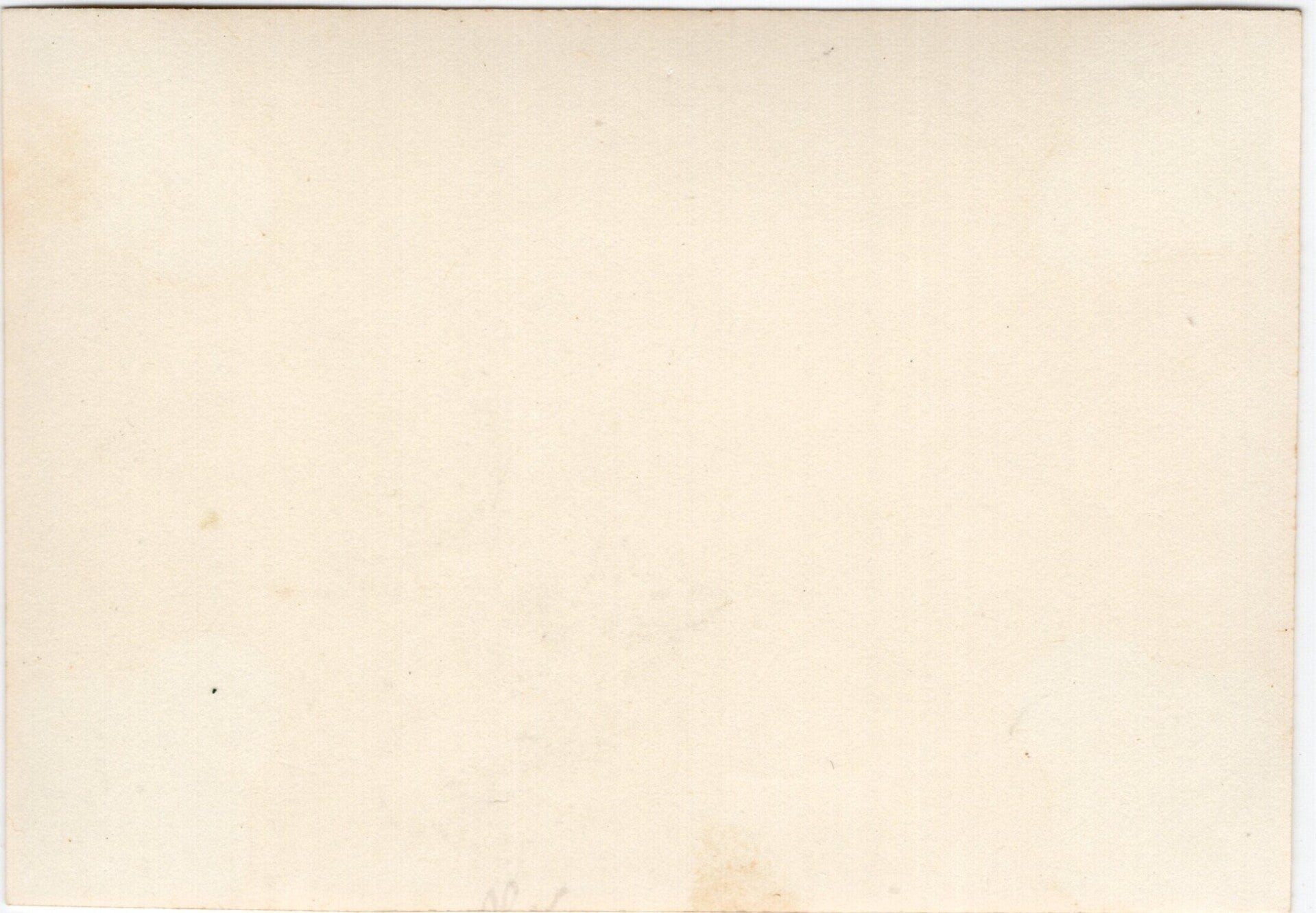 Original WW2 German Photo - German SS war graves at the Grebbeberg, Rhenen, Holland — image 2