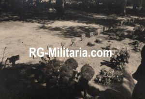 Original WW2 German Photo - German SS war graves at …