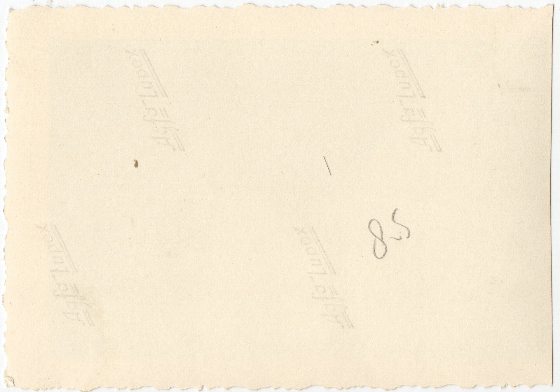 Original WW2 German Photo - Rivierkazemat Dordrecht, Fallschirmjäger Rgt 1 bunker with sign ''No photographs, Holland (1940) — image 2