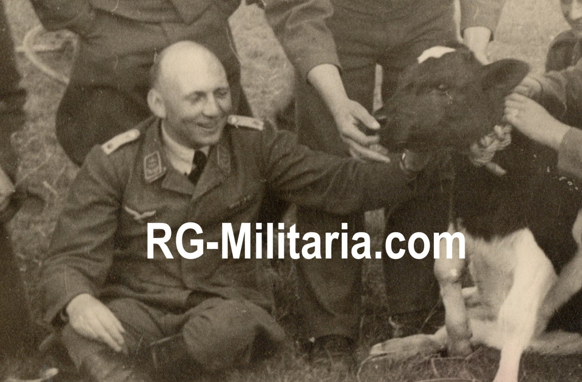 Original WW2 German Photo - Flak grouping Nieuwendam, near Amsterdam (1942-1944) — image 17
