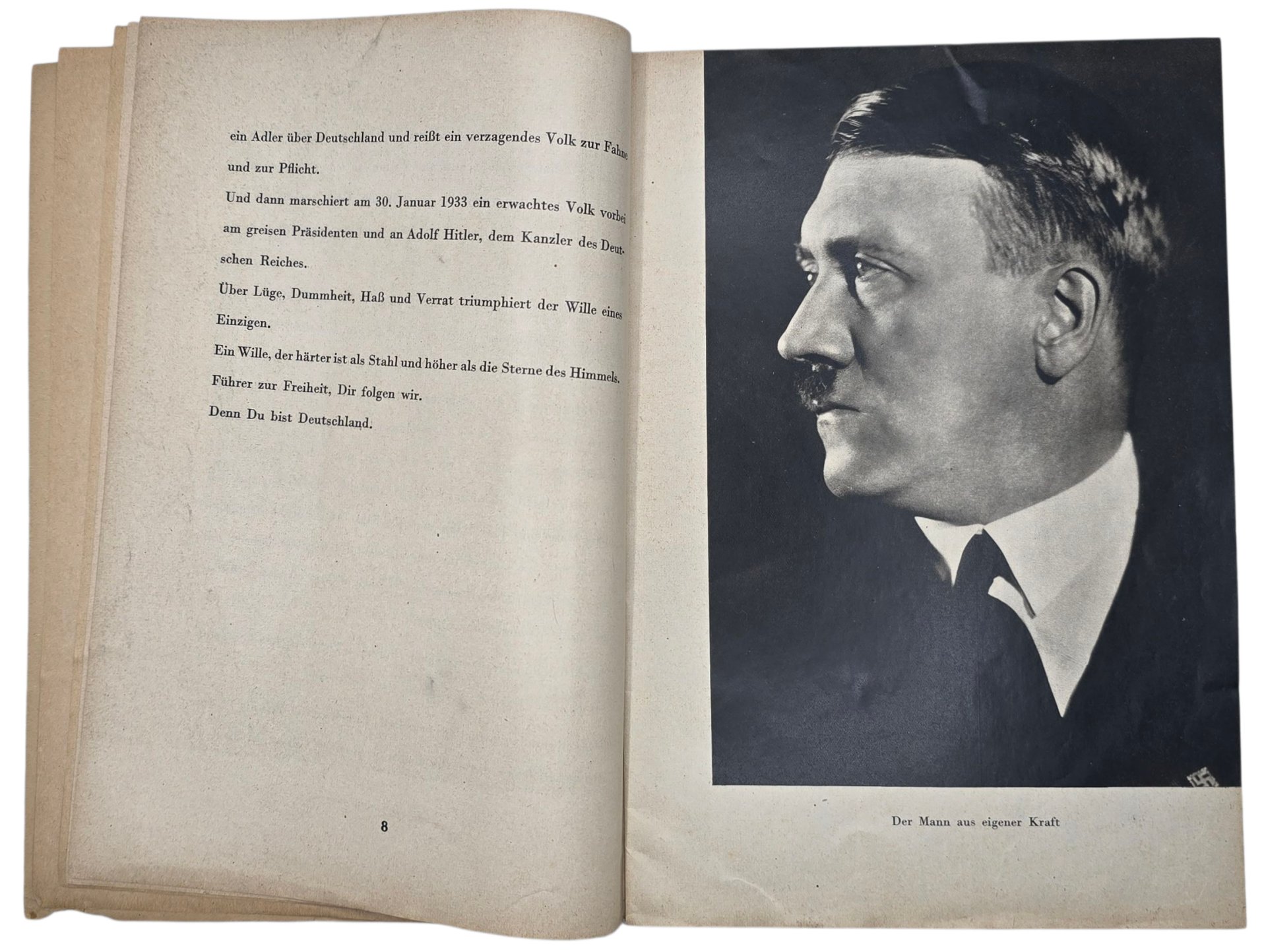 Original WW2 German Brochure - Der Triumph des Willens, Heinrich Hoffmann, NSDAP Kreisleitung Utrecht (1933)1 — image 5