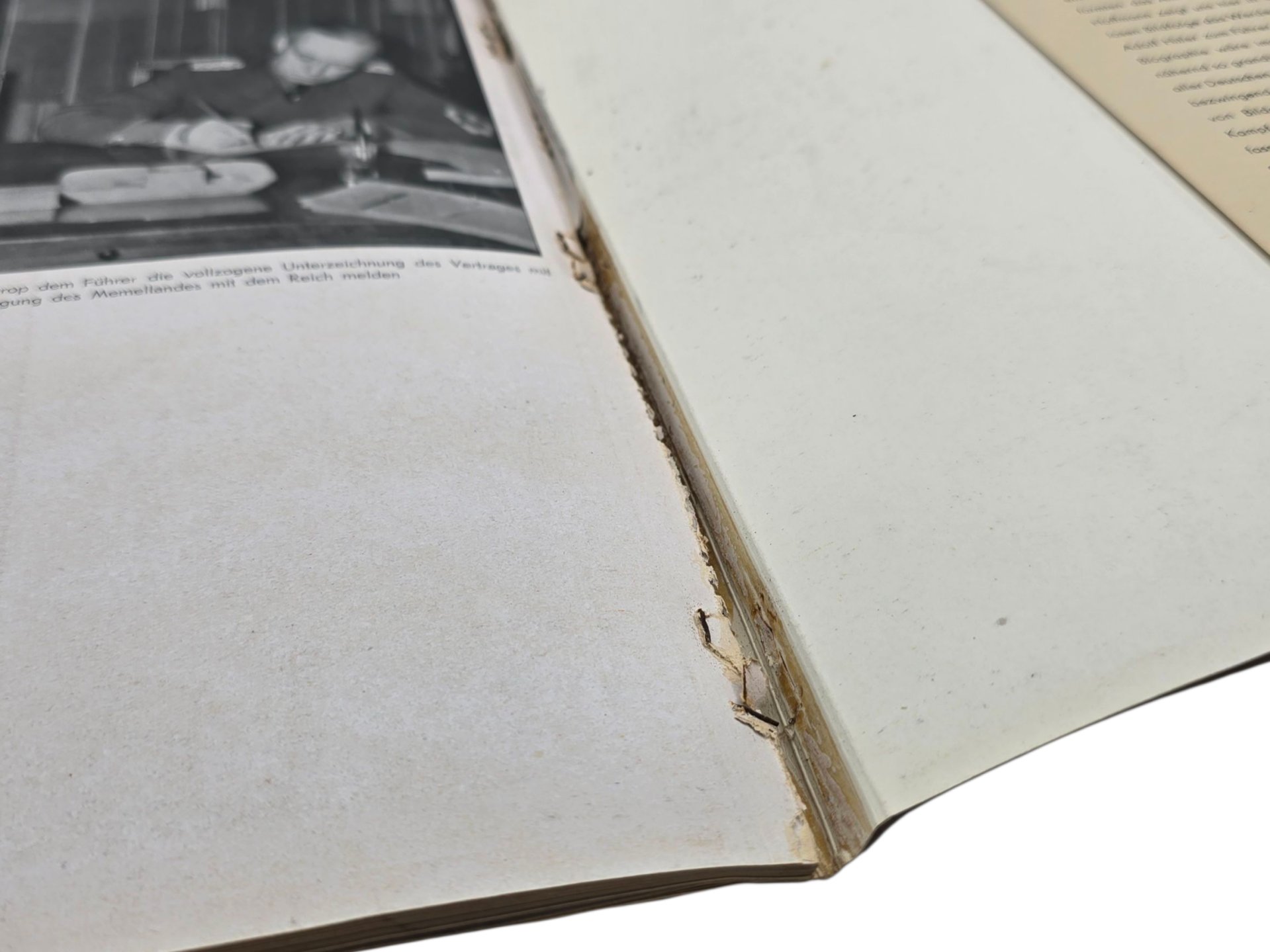 Original WW2 German Photo Book - Hitler in Böhmen Mähren Memel, Heinrich Hoffmann (1939) — image 9