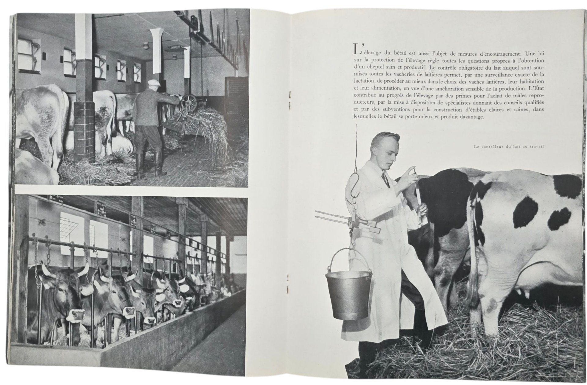 Original WW2 French Collaboration Brochure - Tout pour le Paysan — image 4