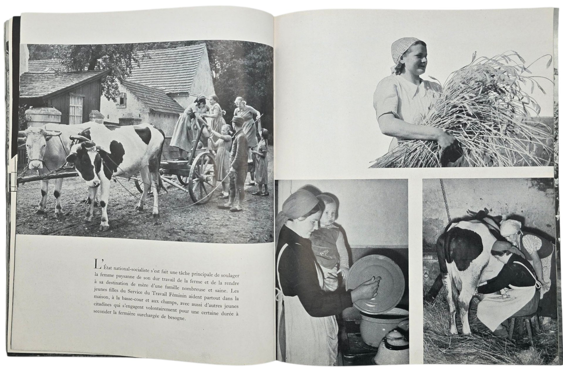 Original WW2 French Collaboration Brochure - Tout pour le Paysan — image 5