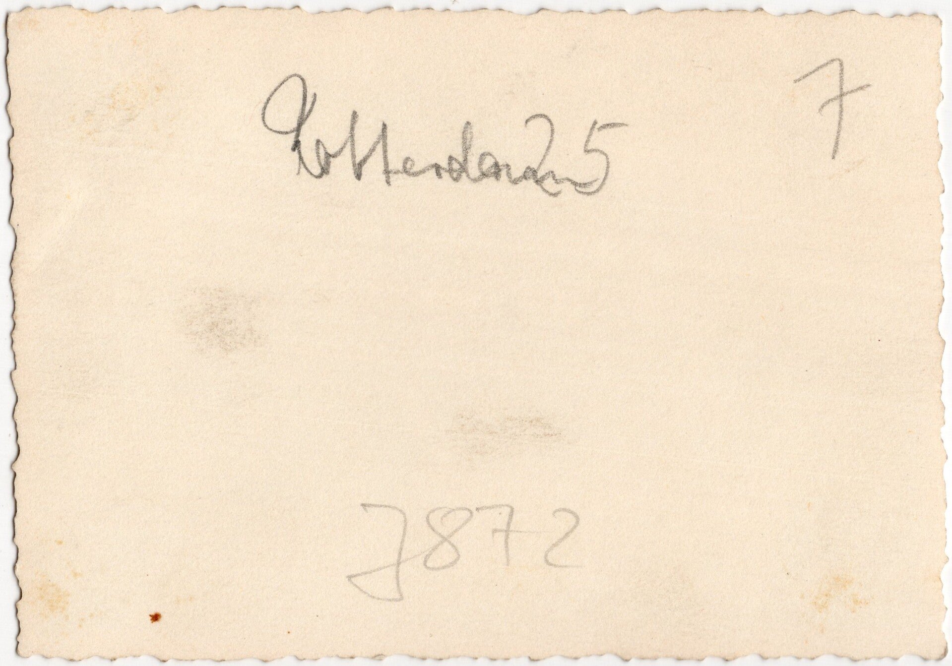 Original WW2 German Photo - German trucks arrive in Rotterdam (1940) — image 2