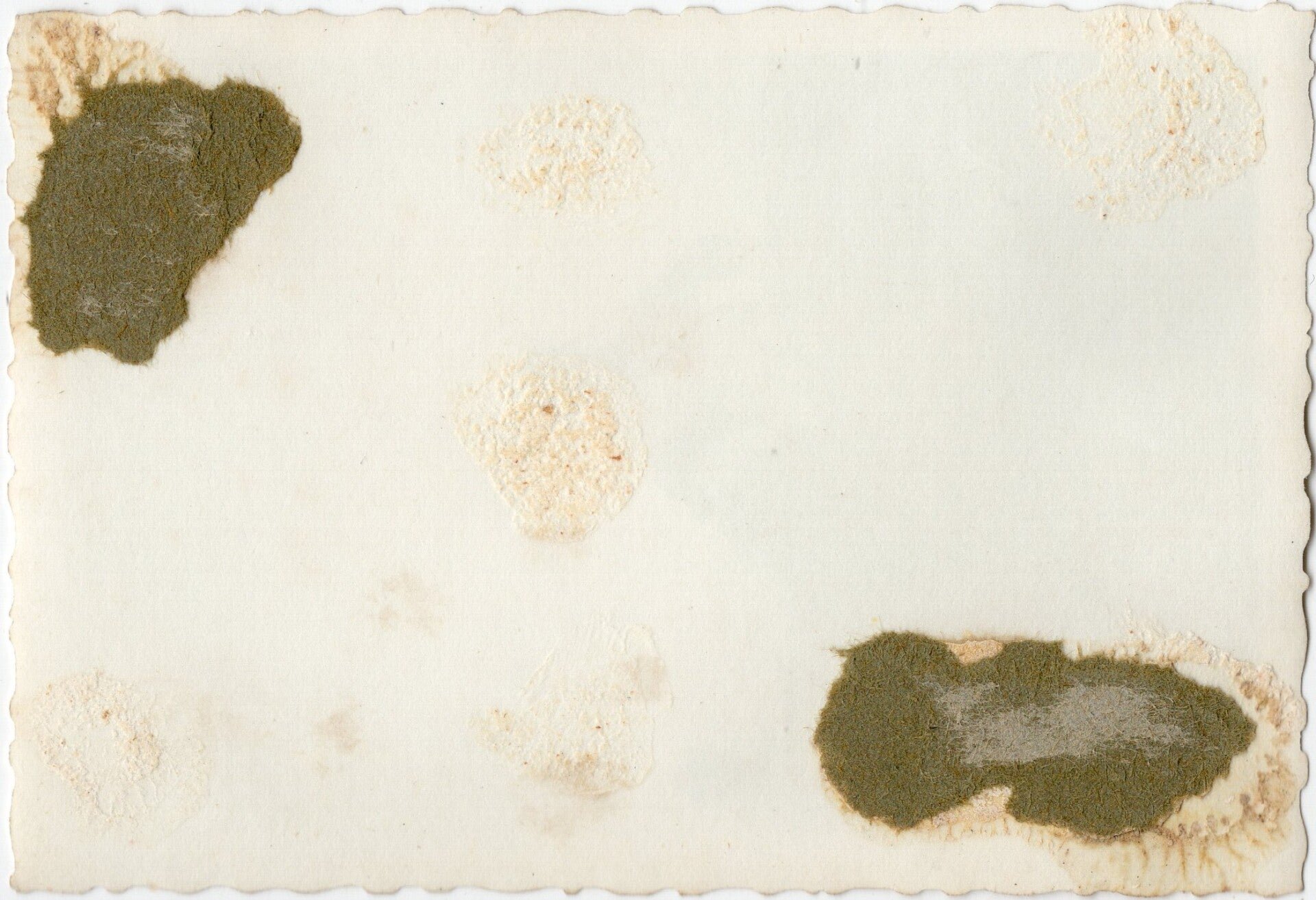 Original WW2 German Photo - Luftwaffe mechanics with Dutch helmets at Schiphol, Amsterdam, Holland (1940) — image 2