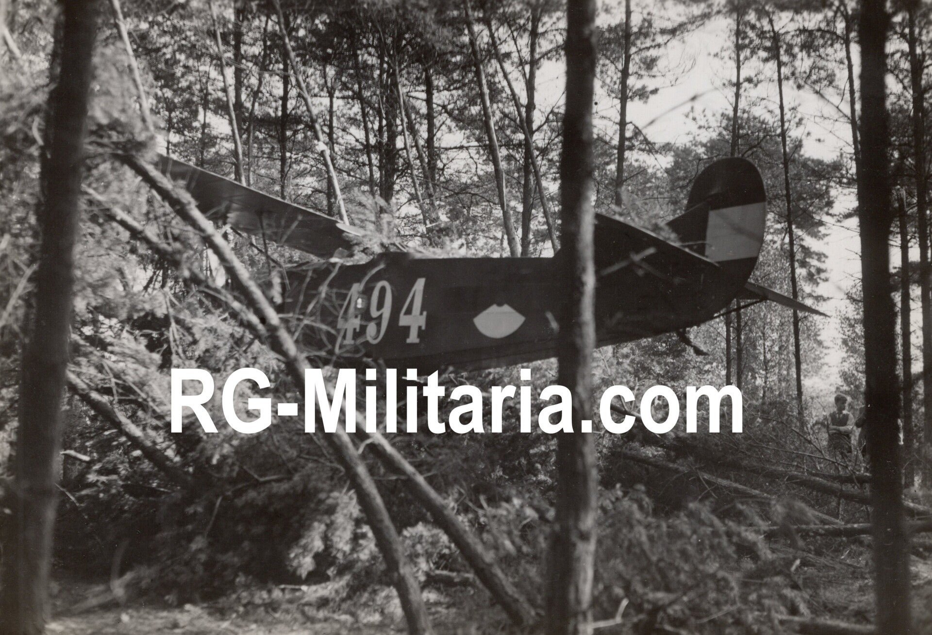 Original WW2 Dutch Photo - LVA Luchtvaartafdeeling Crashed Fokker C1 '494' series (1933) — image 3