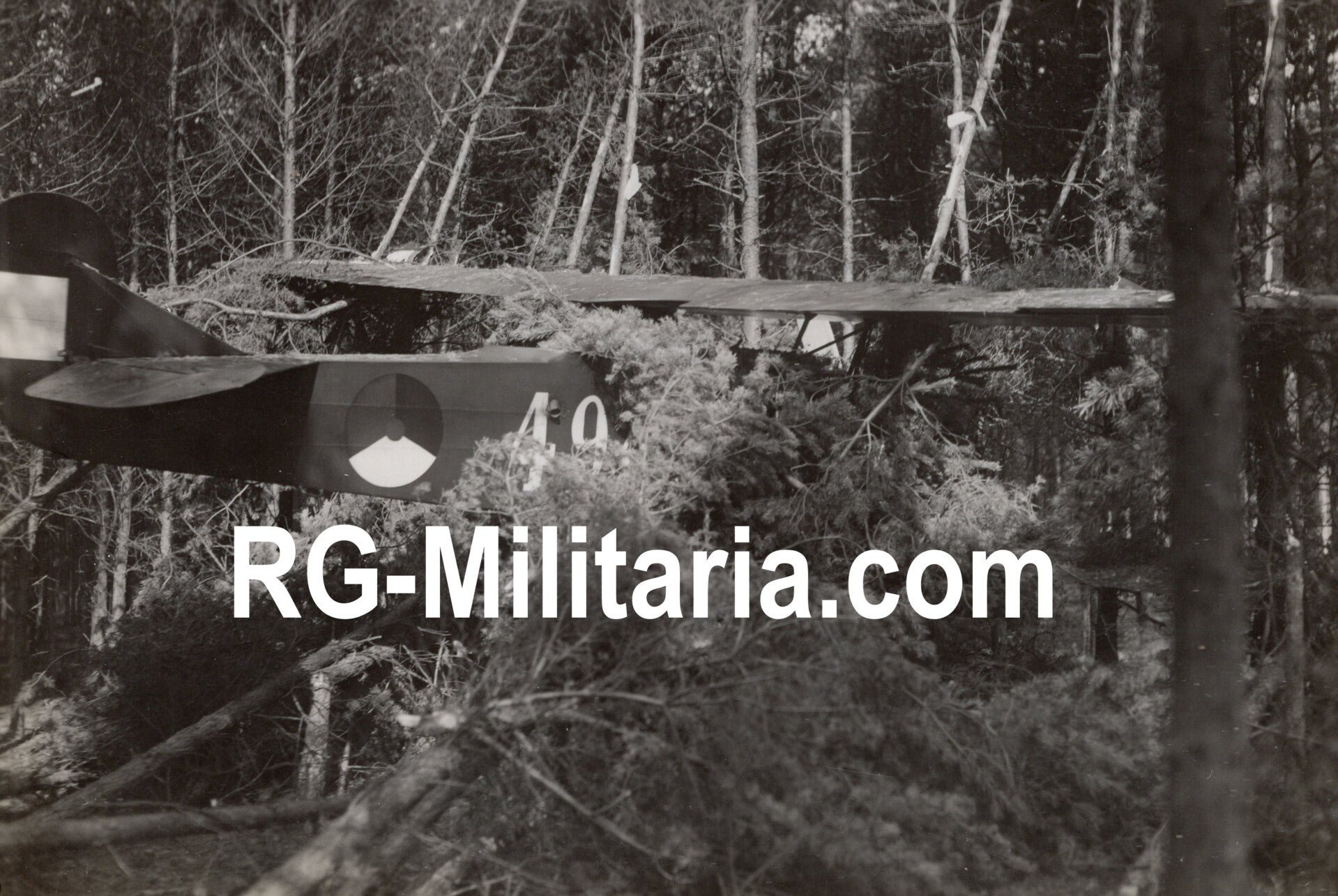 Original WW2 Dutch Photo - LVA Luchtvaartafdeeling Crashed Fokker C1 '494' series (1933) — image 4