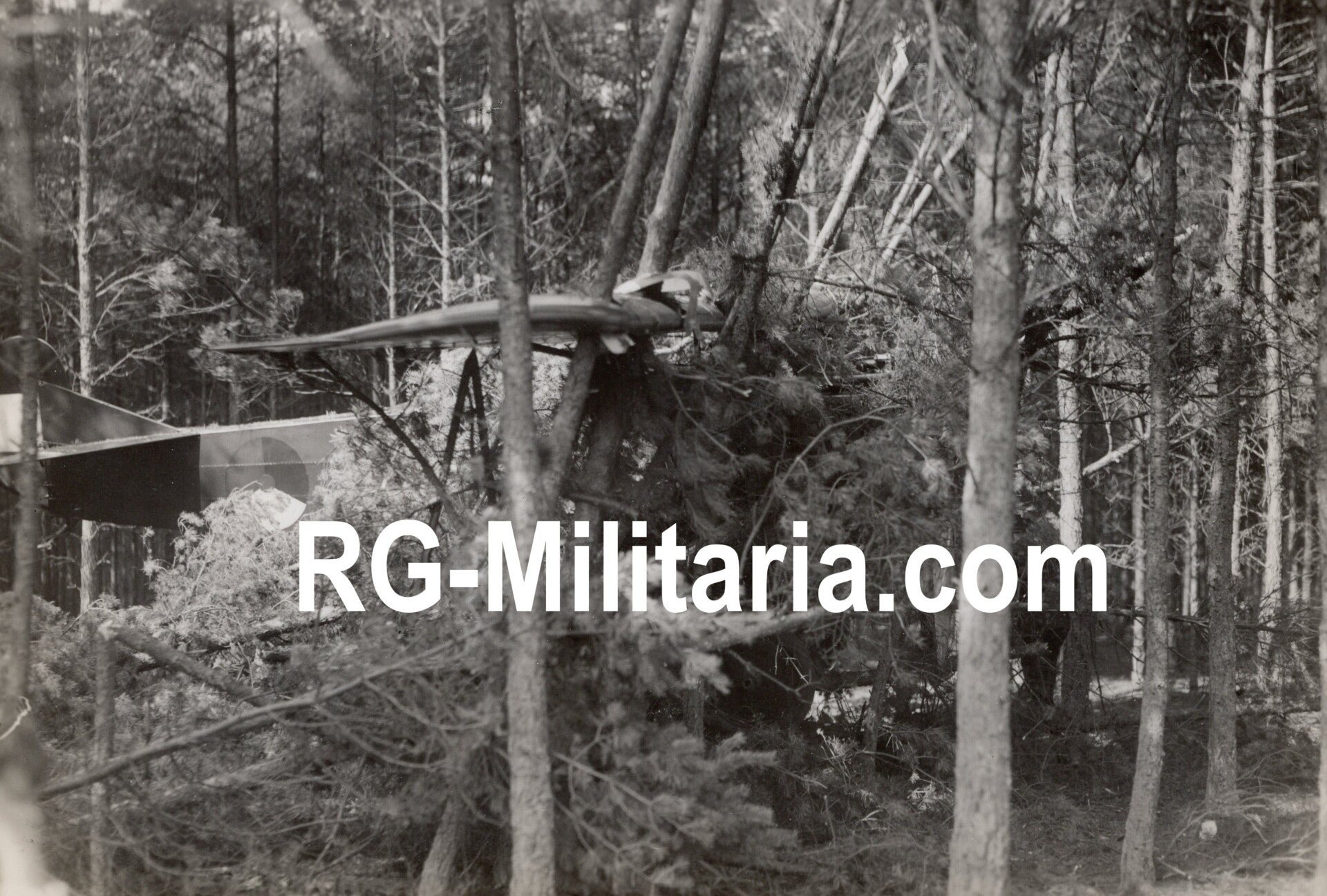 Original WW2 Dutch Photo - LVA Luchtvaartafdeeling Crashed Fokker C1 '494' series (1933) — image 5
