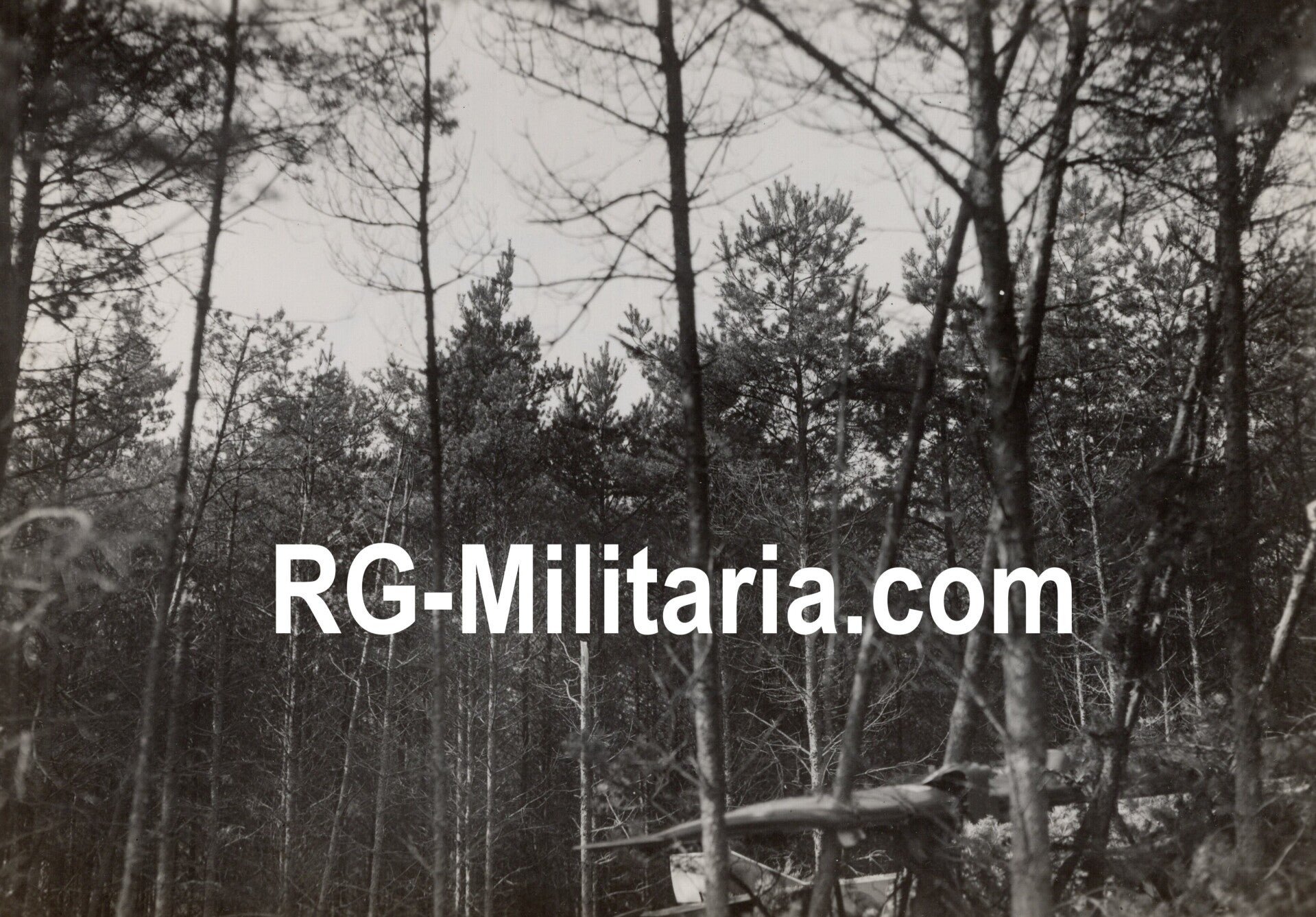 Original WW2 Dutch Photo - LVA Luchtvaartafdeeling Crashed Fokker C1 '494' series (1933) — image 7