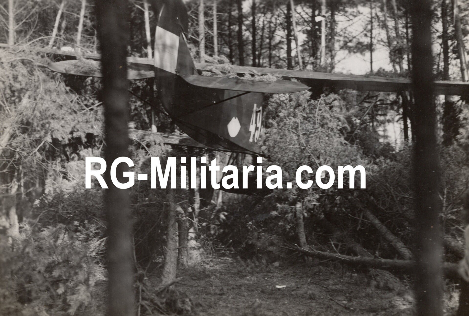 Original WW2 Dutch Photo - LVA Luchtvaartafdeeling Crashed Fokker C1 '494' series (1933) — image 8