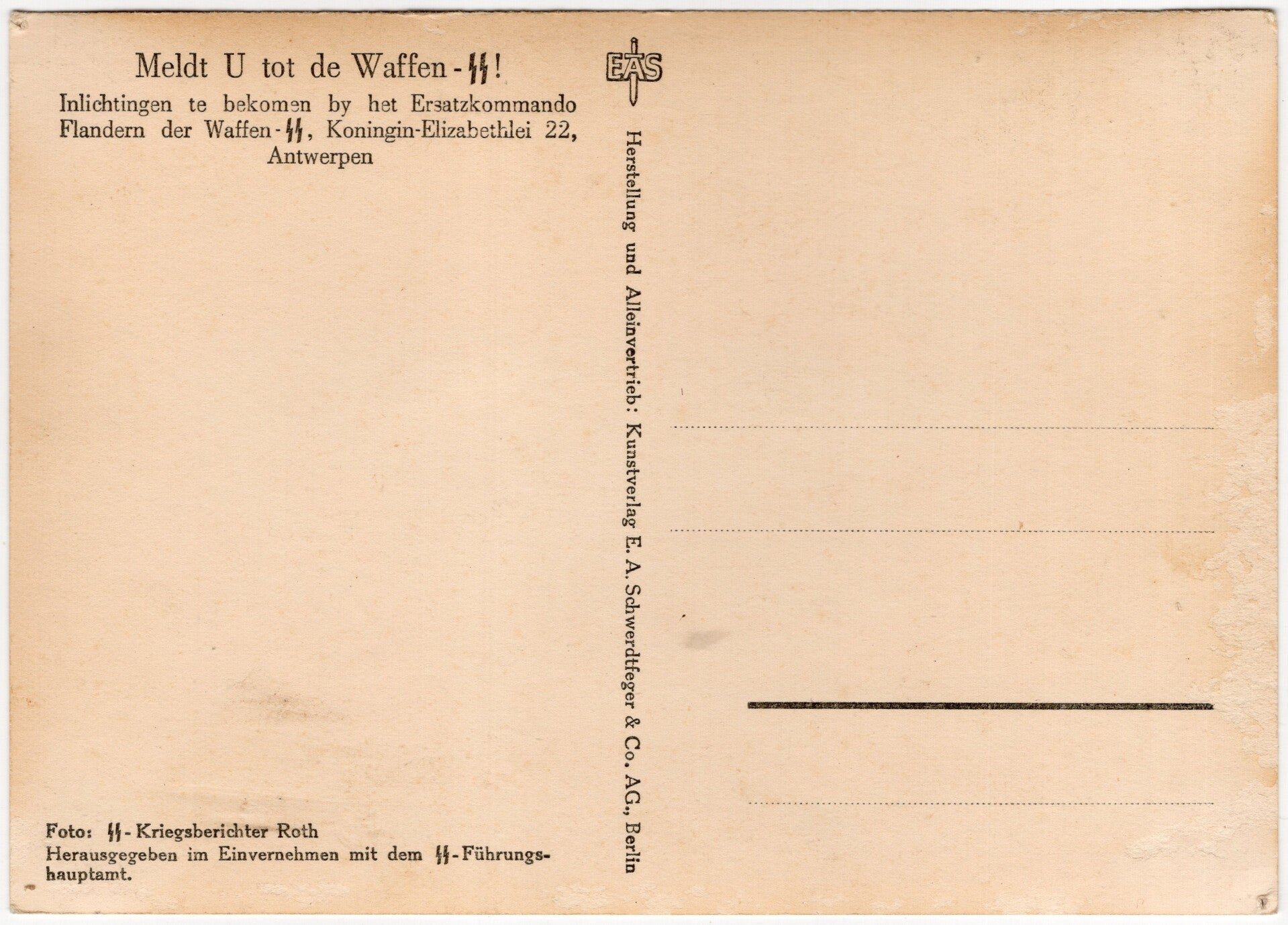 Original WW2 Flemish Waffen SS Postcard - ''Meldt U tot de Waffen-SS!'' Horse drummer — image 2