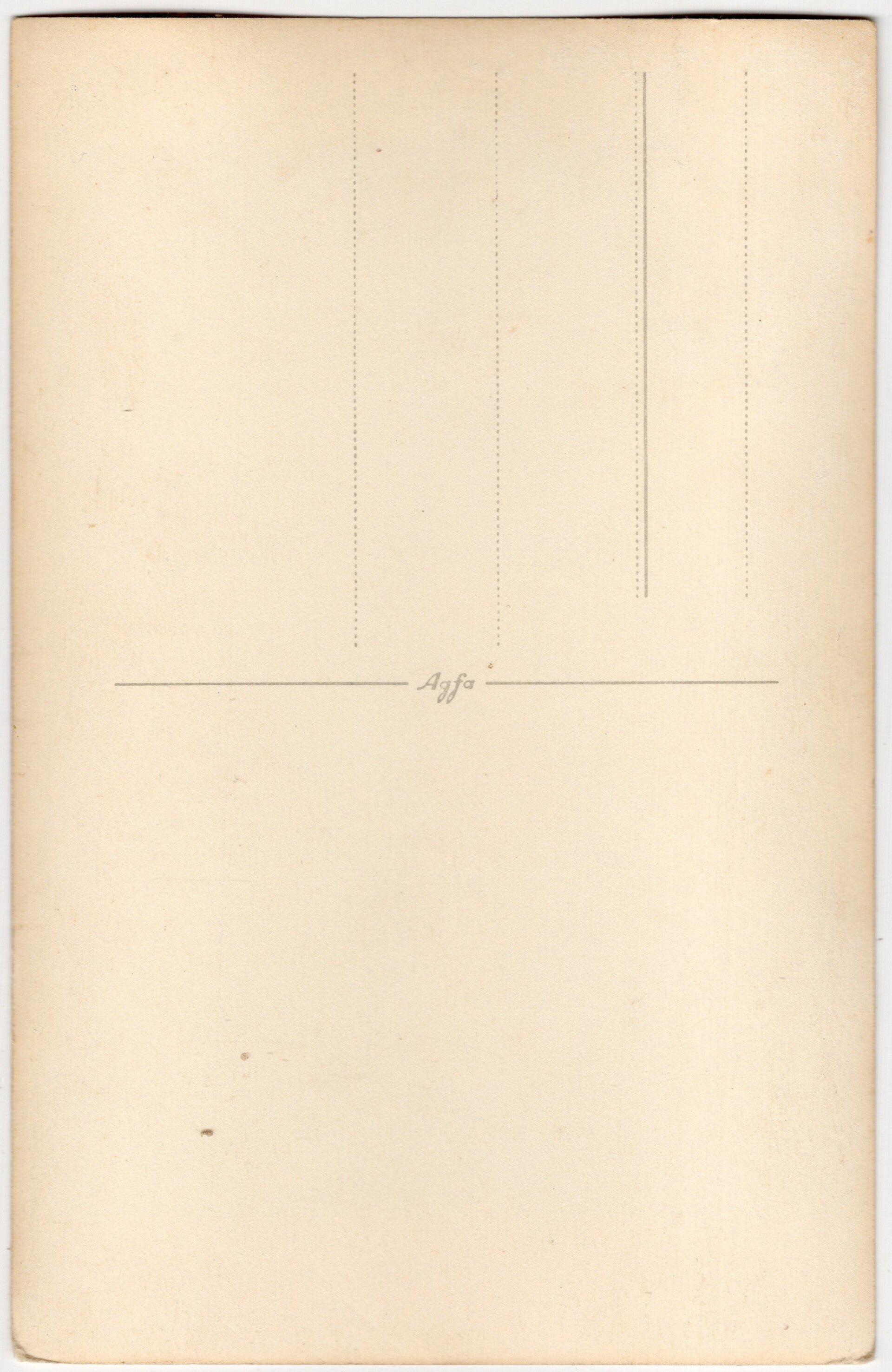 Original WW2 German Waffen SS Photo - Allgemeine SS wedding photo — image 2