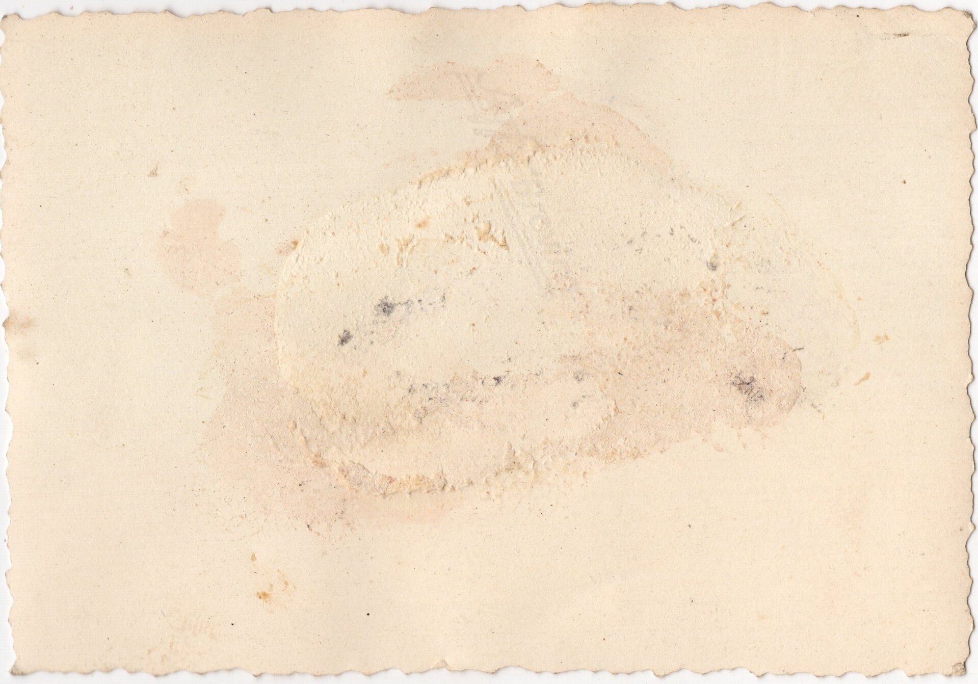 Original WW2 German Photo - Fallschirmjäger in the woods — image 2