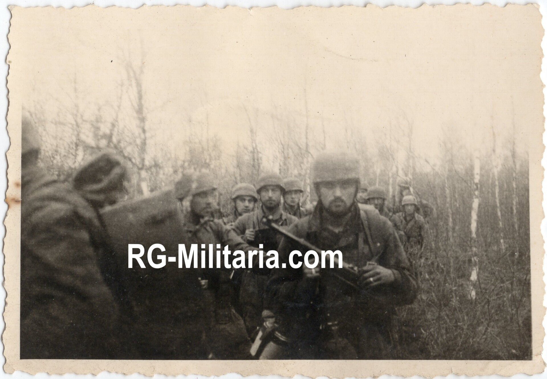 Original WW2 German Photo - Fallschirmjäger in the woods — image 3