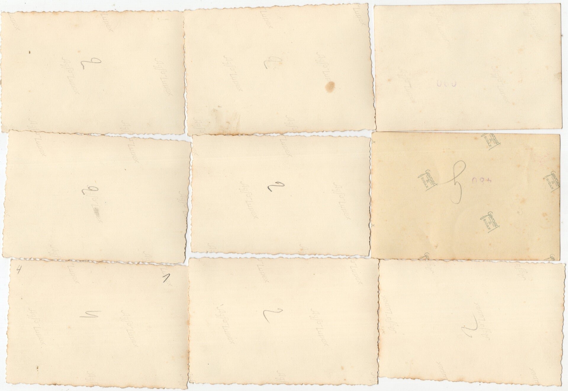 Original WW2 German Photo - Luftwaffe soldiers at Airfield Waalhaven, Rotterdam, Holland — image 11