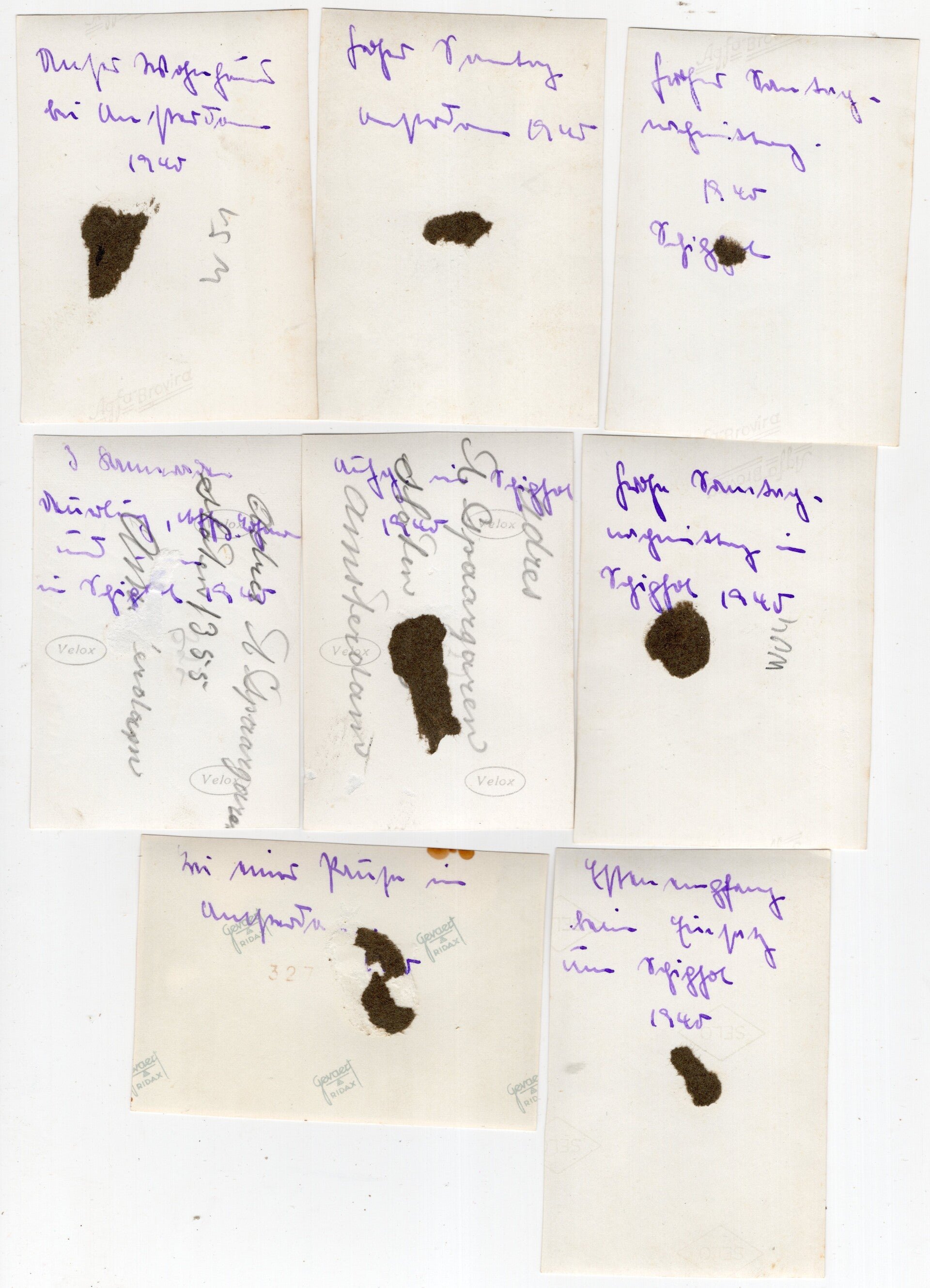 Original WW2 German Photo - Luftwaffe soldiers near Schiphol, Amsterdam, Holland (1940) — image 9