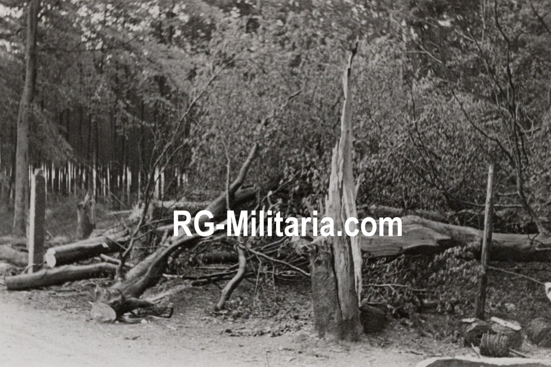 Original WW2 German Photo - German soldiers in Mook, Blitzkrieg in Holland, May (1940) — image 5