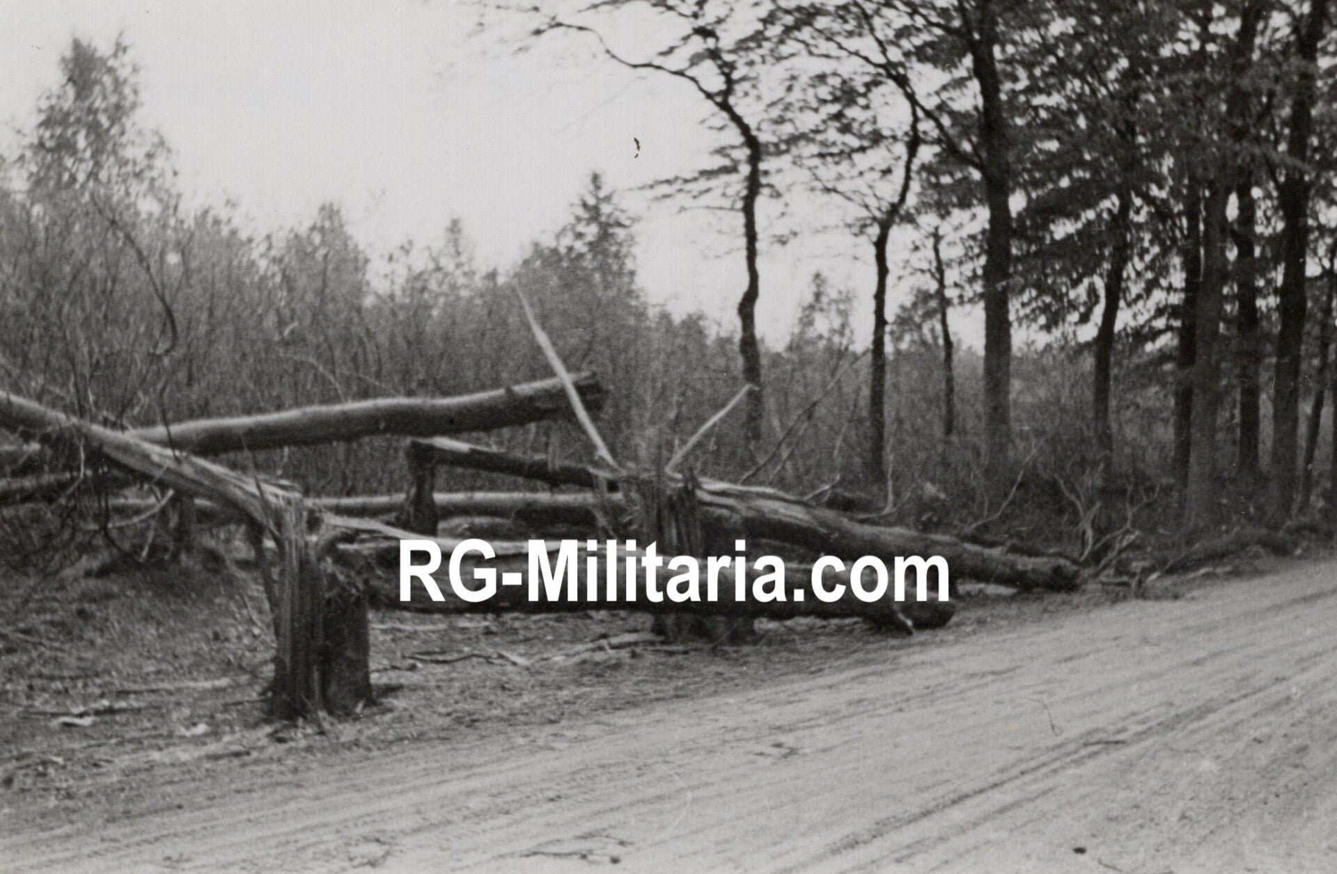 Original WW2 German Photo - German soldiers in Mook, Blitzkrieg in Holland, May (1940) — image 6
