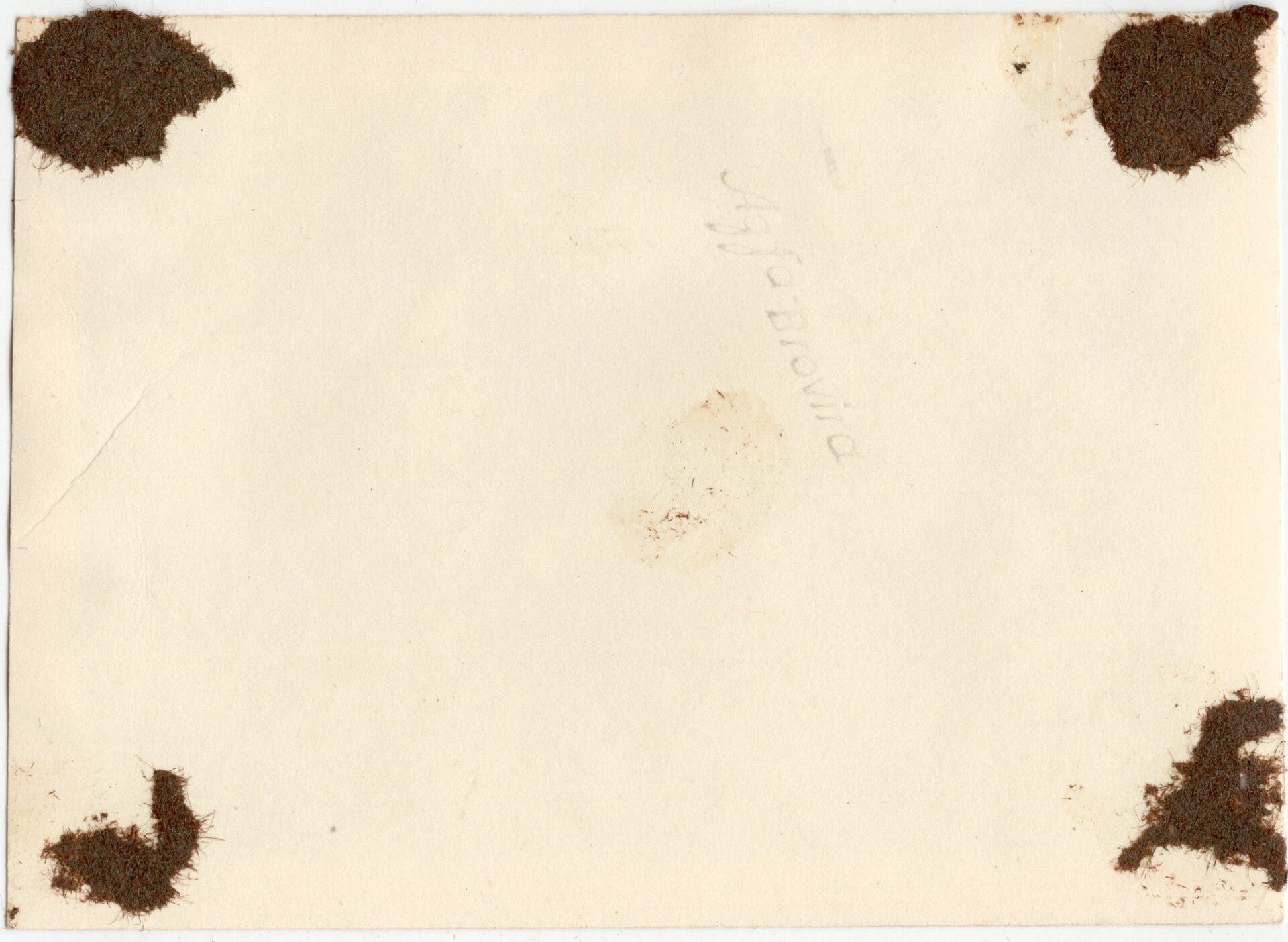 Original WW2 German Photo - Kriegsmarine in Breda — image 2