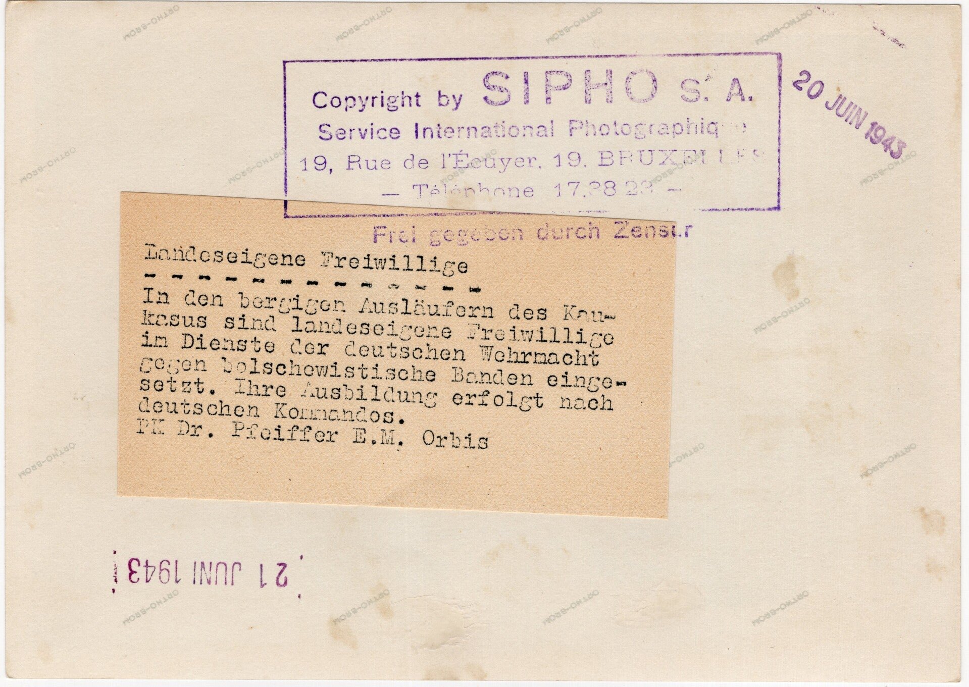 Original WW2 German Waffen SS Press Photo - Ostlegionen Eastern European SS Cavalry Kosaken Corps (1943) — image 2