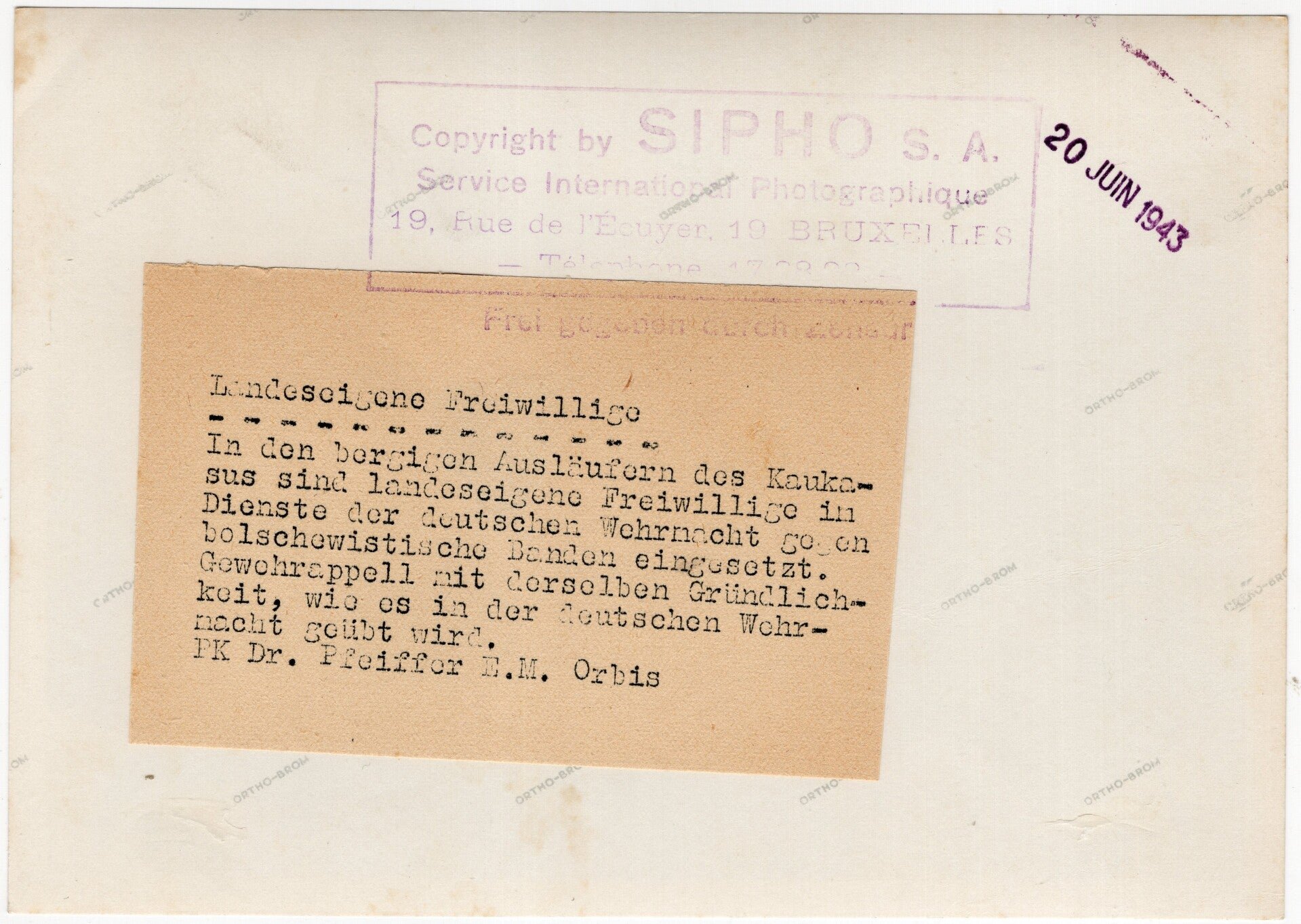 Original WW2 German Waffen SS Press Photo - Ostlegionen Eastern European SS Cavalry Kosaken Corps K98 inspection (1943) — image 2