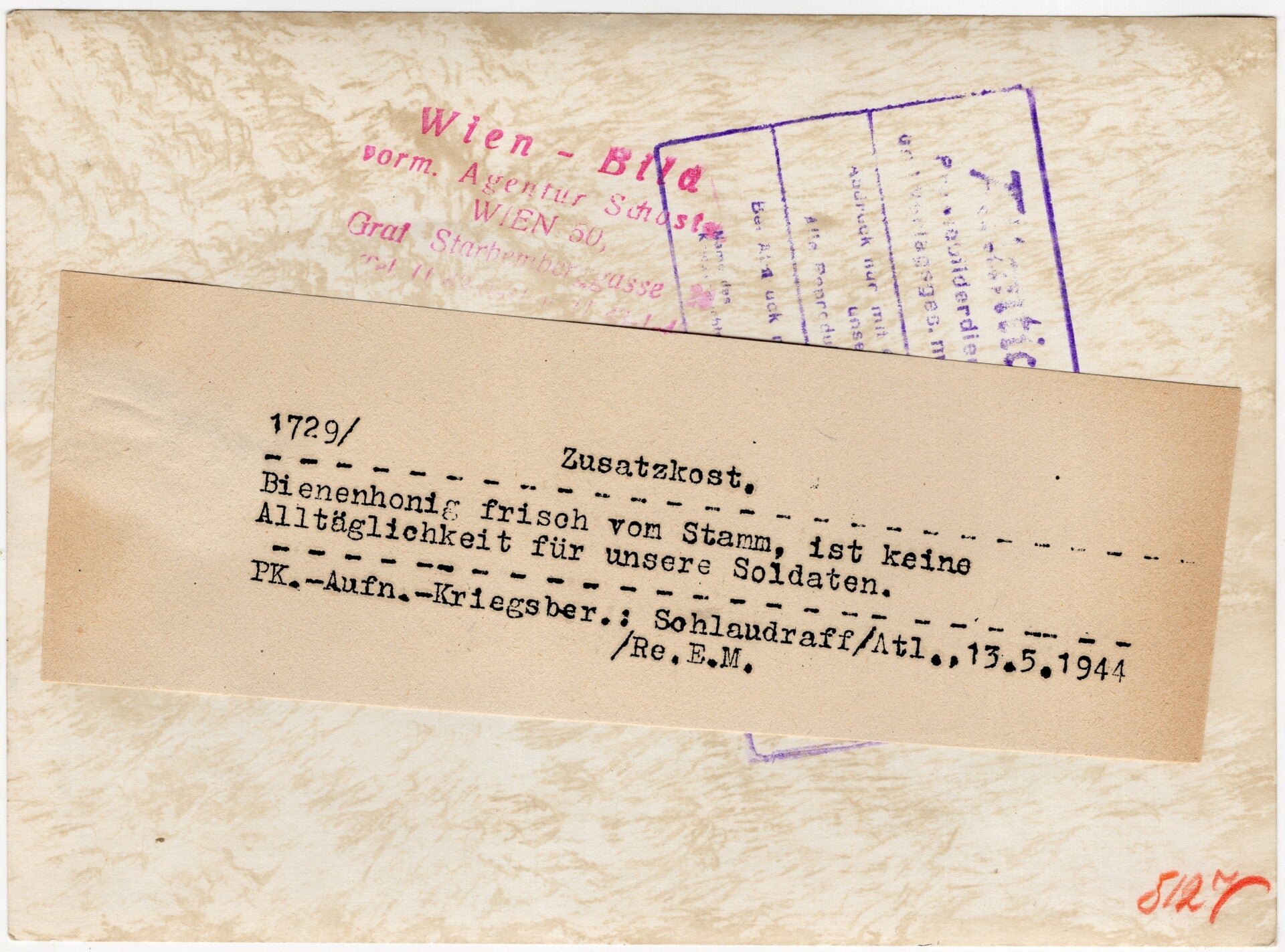 Original WW2 German Press Photo - Panzergrenadiere Division Grossdeutschland gathering honey (1944) — image 2