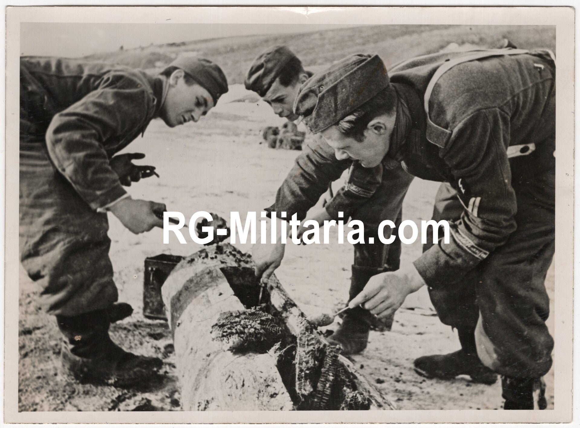 Original WW2 German Press Photo - Panzergrenadiere Division Grossdeutschland gathering honey (1944) — image 3