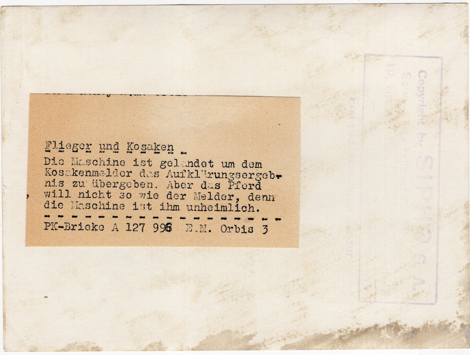 Original WW2 German Waffen SS Press Photo - Ostlegionen Eastern European SS Cavalry Kosaken Corps with horse taking a message from a Luftwaffe pilot (1944) — image 2