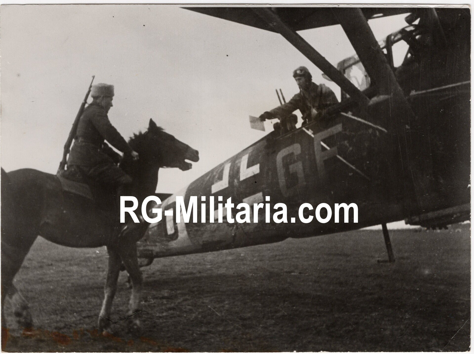 Original WW2 German Waffen SS Press Photo - Ostlegionen Eastern European SS Cavalry Kosaken Corps with horse taking a message from a Luftwaffe pilot (1944) — image 3