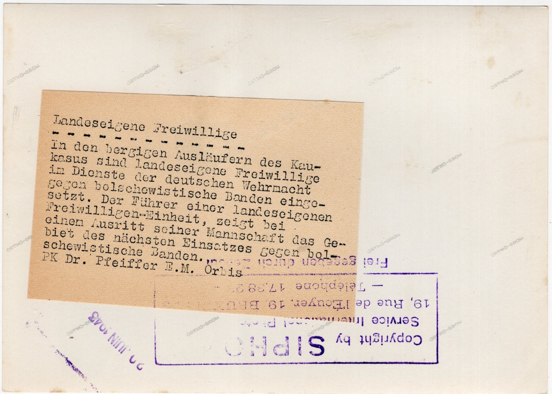 Original WW2 German Waffen SS Press Photo - Ostlegionen Eastern European SS Cavalry Kosaken Corps with horses (1943) — image 2