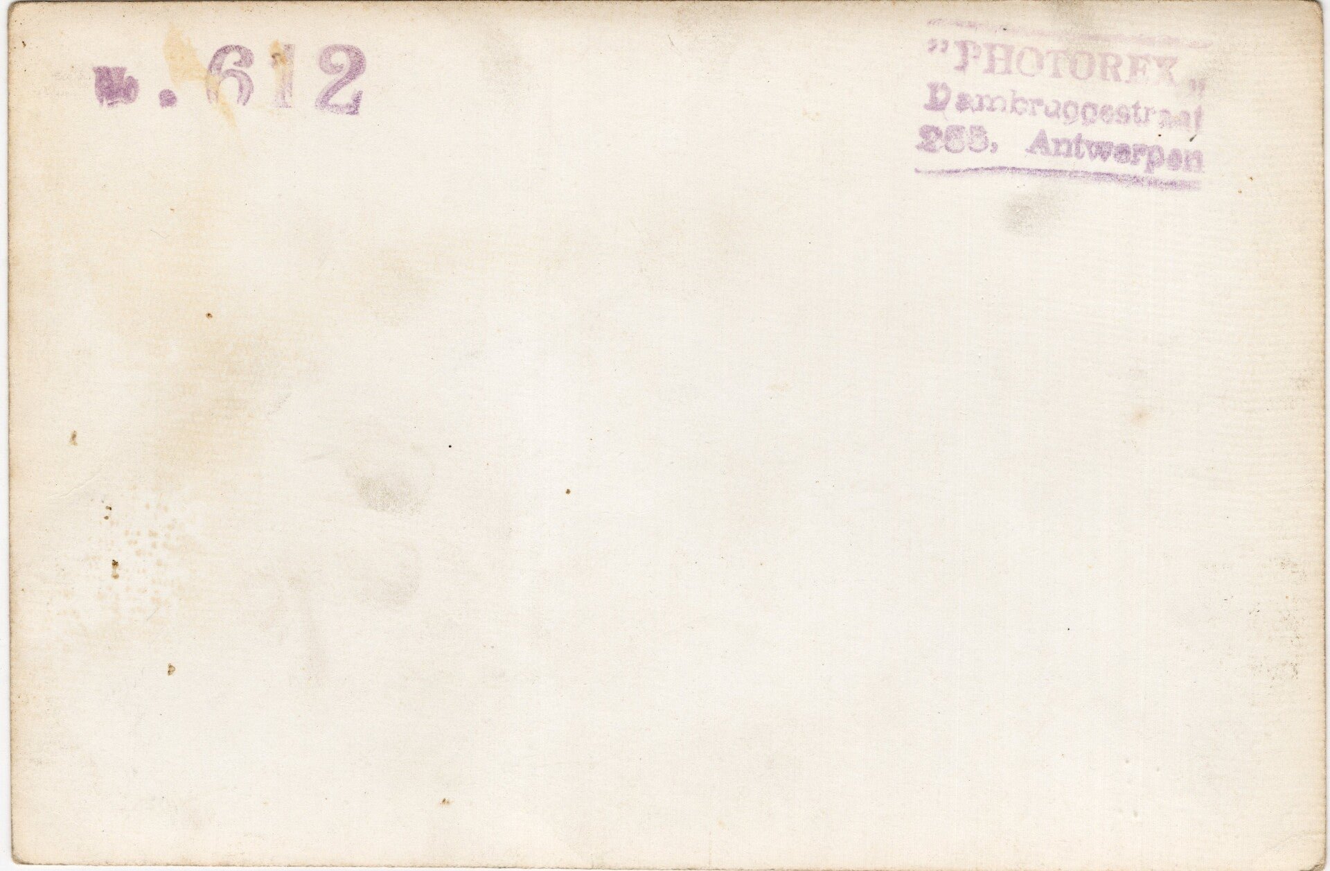 Original WW2 Belgian Waffen SS Press Photo - Ostlegionen Eastern European SS Cavalry Kosaken Corps with horses — image 2