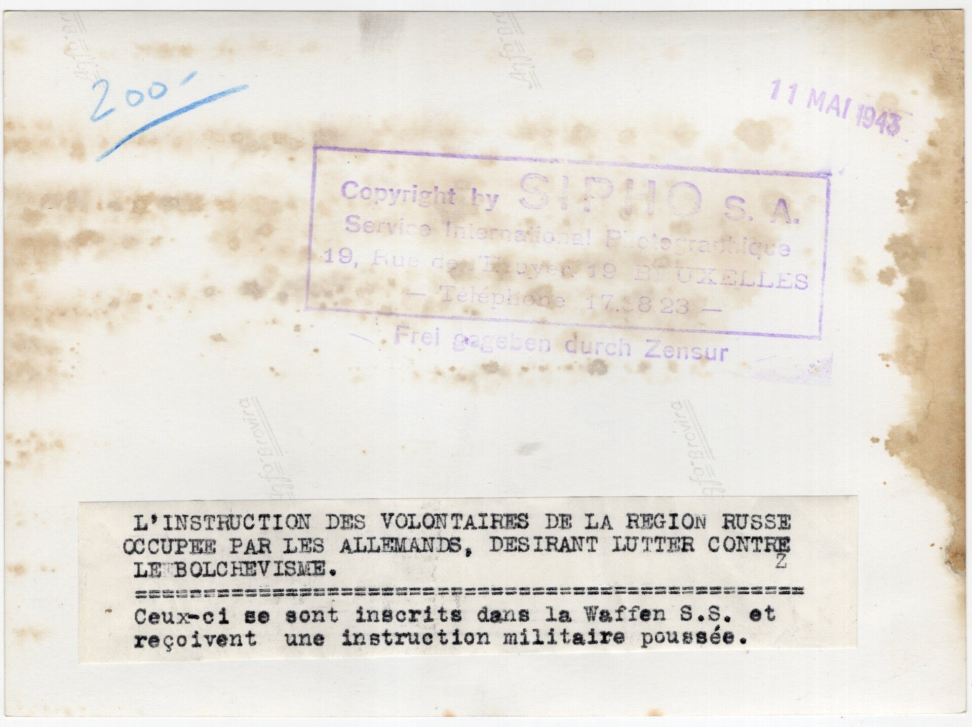 Original WW2 Belgian Waffen SS Press Photo - Ostlegionen Eastern European SS Cavalry Kosaken Corps with horses (1943) — image 2