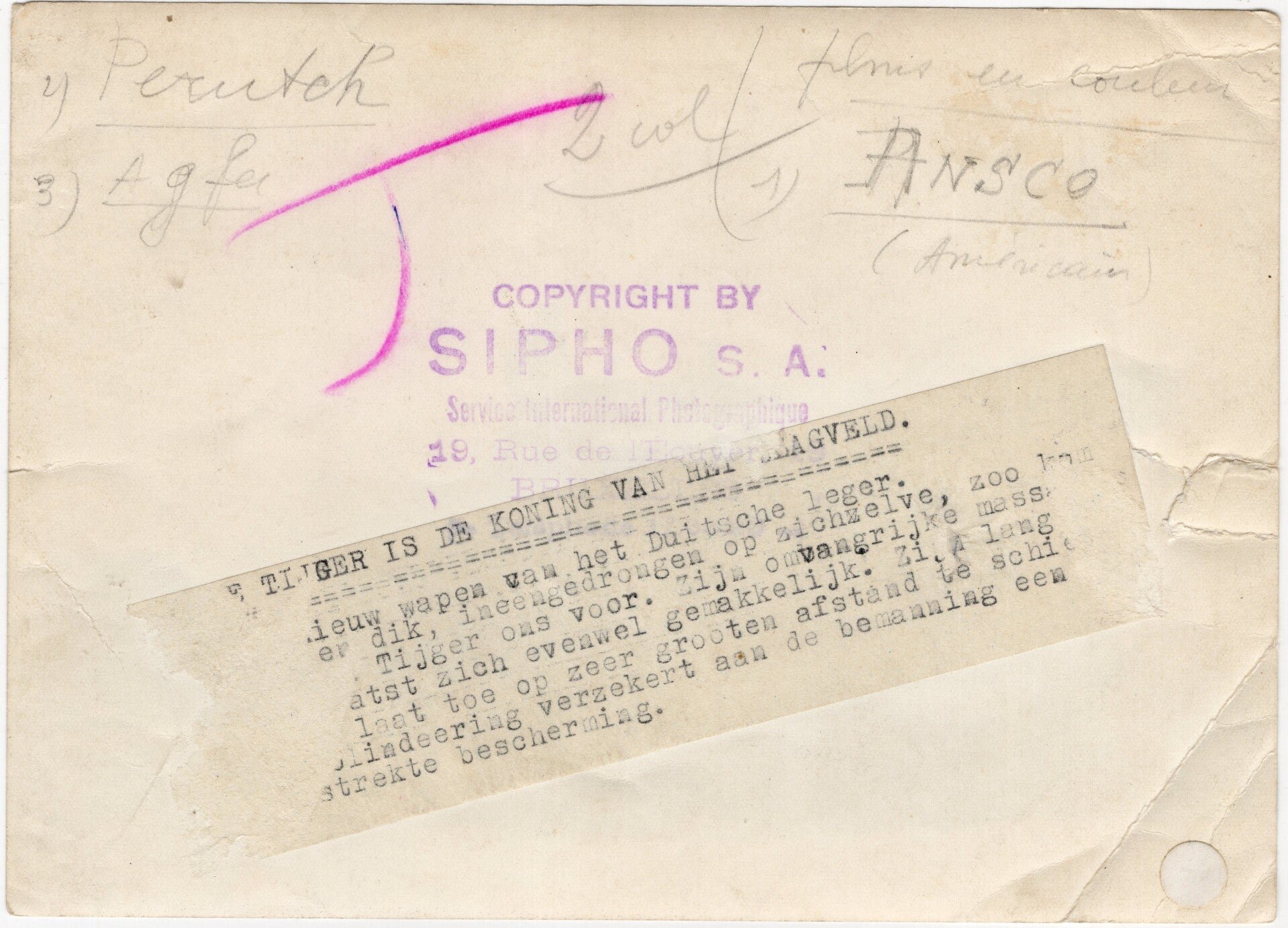 Original WW2 Belgian Press Photo - German Tiger Tanks in Tunesia (1942) — image 2