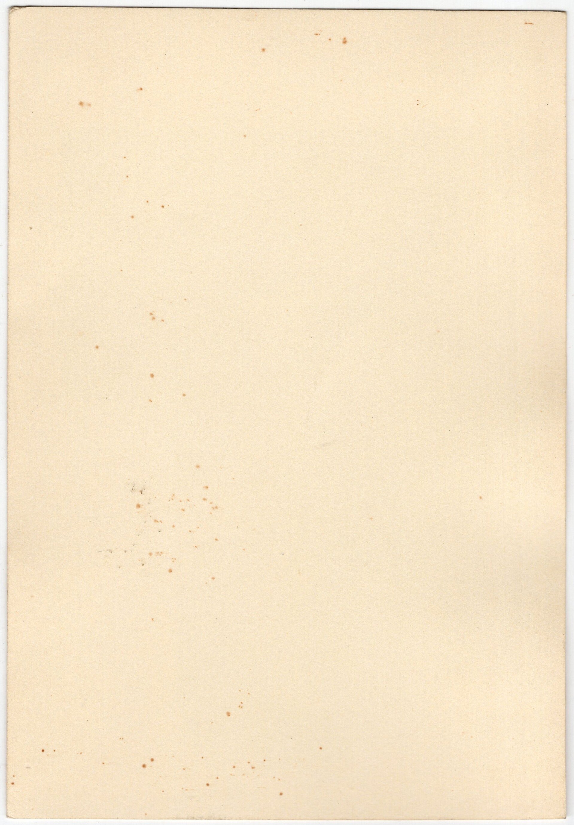 Original WW2 Dutch Collaboration NSB Photo - Cornelis van Geelkerken — image 2