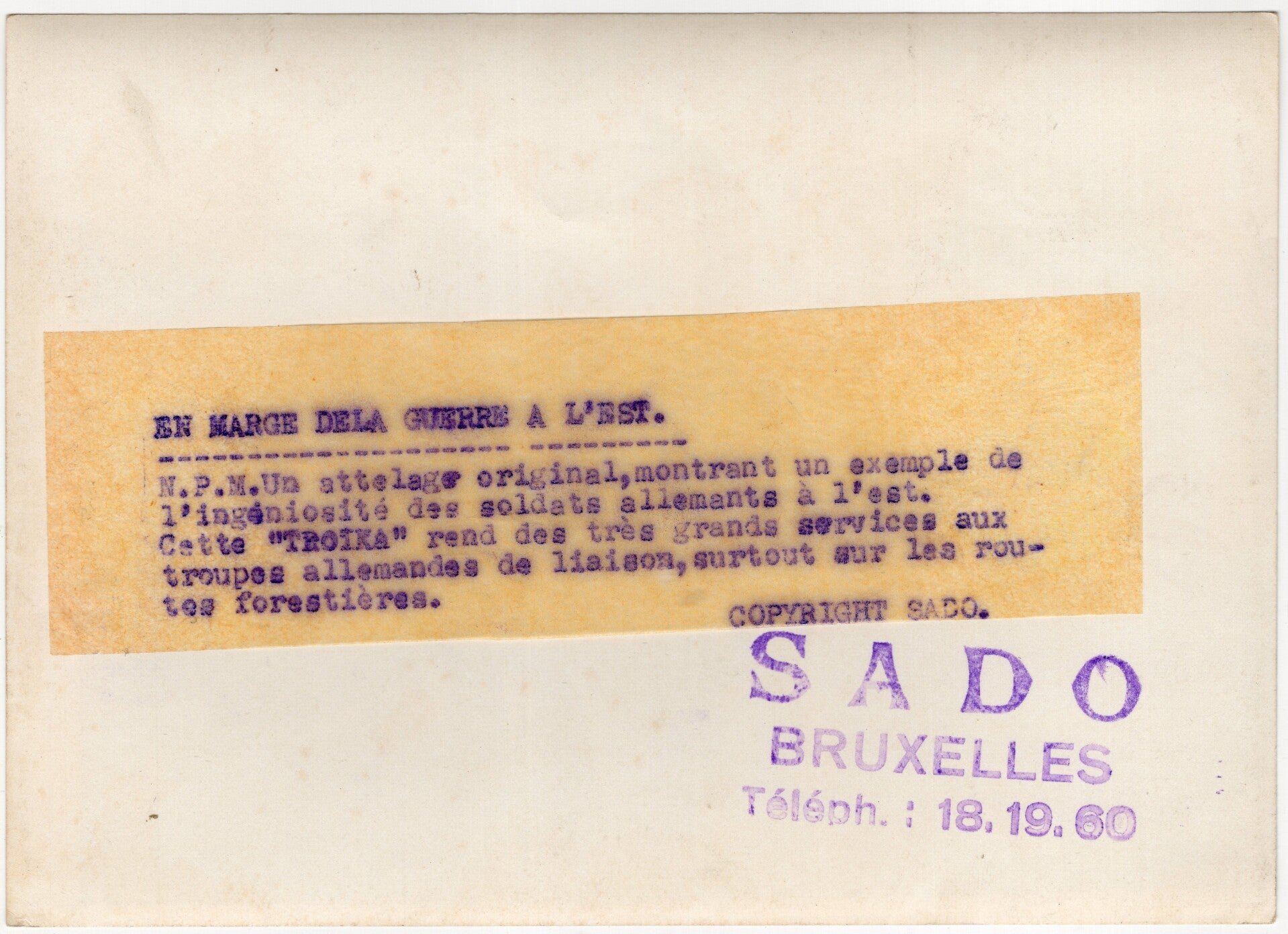 Original WW2 French Waffen SS Press Photo - Waffen SS soldiers with war dogs troika, Eastern Front — image 2