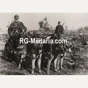 Original WW2 French Waffen SS Press Photo - Waffen SS …