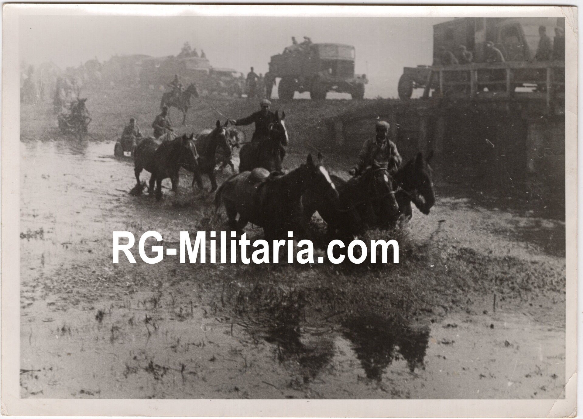 Original WW2 German Waffen SS Press Photo - Eastern European farmers helping soldiers with their horses in the rain (1943) — image 3