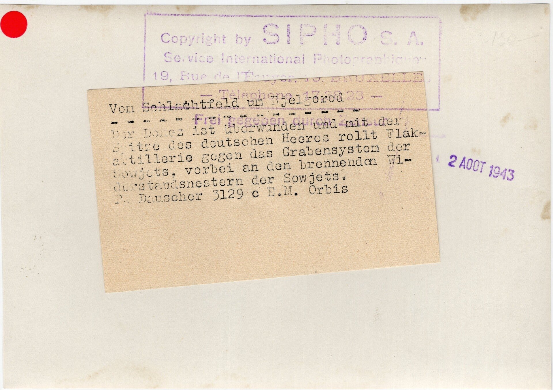 Original WW2 German Press Photo - Camouflaged Sd Kfz. 7 with Flak canon near Bjelgorod, Eastern Front (1943) — image 2