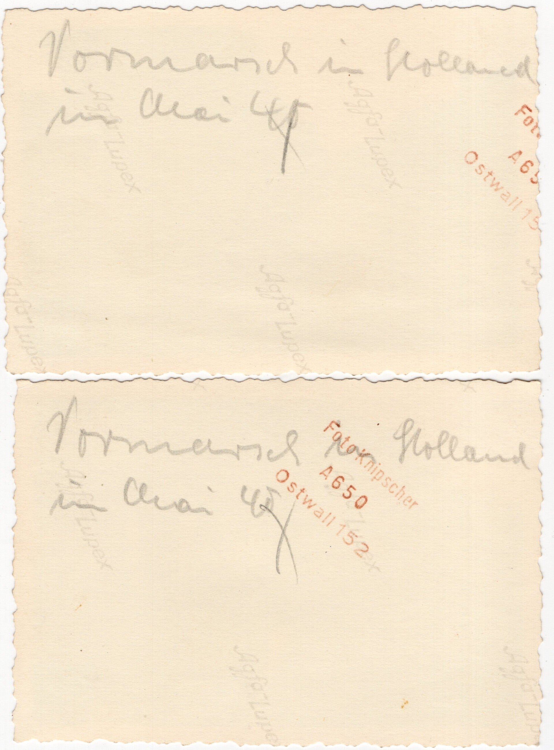 Original WW2 German Photo - German Cavalry enter Holland during the Blitzkrieg, May (1940) — image 2