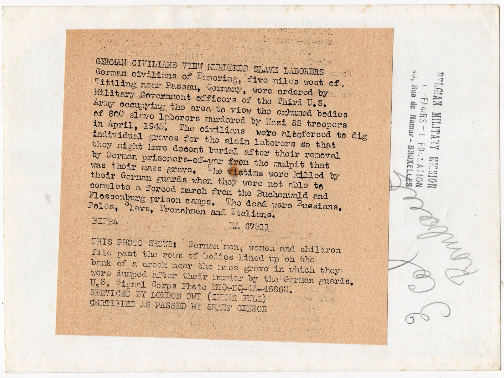 Original WW2 US Press Photo - German civilians view the murdered Buchenwald & Flossenburg concentration camp prisoners (1945) — image 2